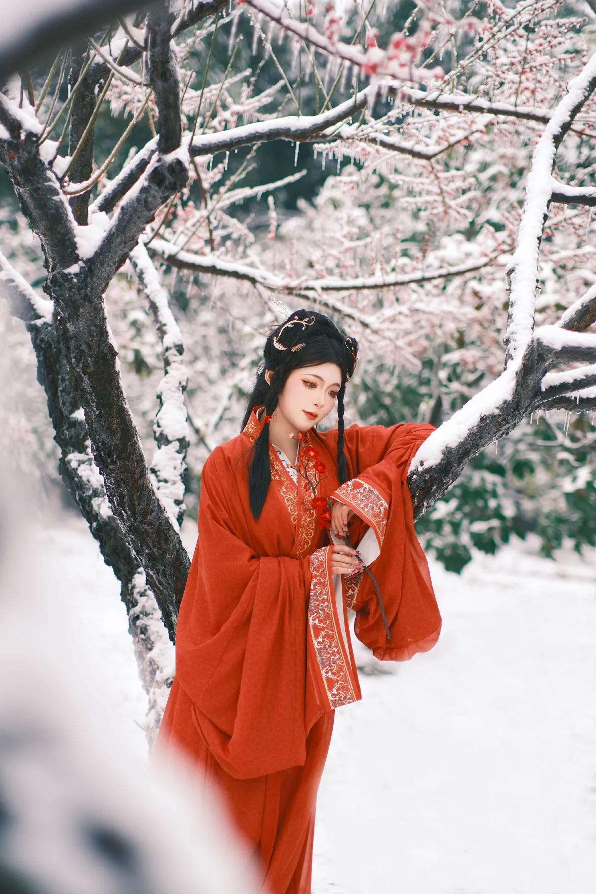 妲己
