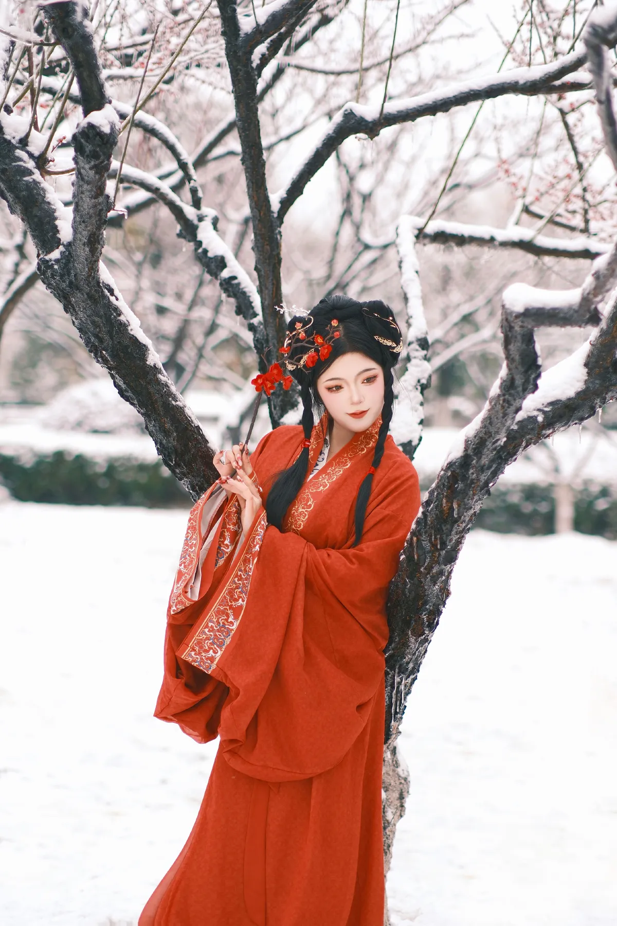 妲己