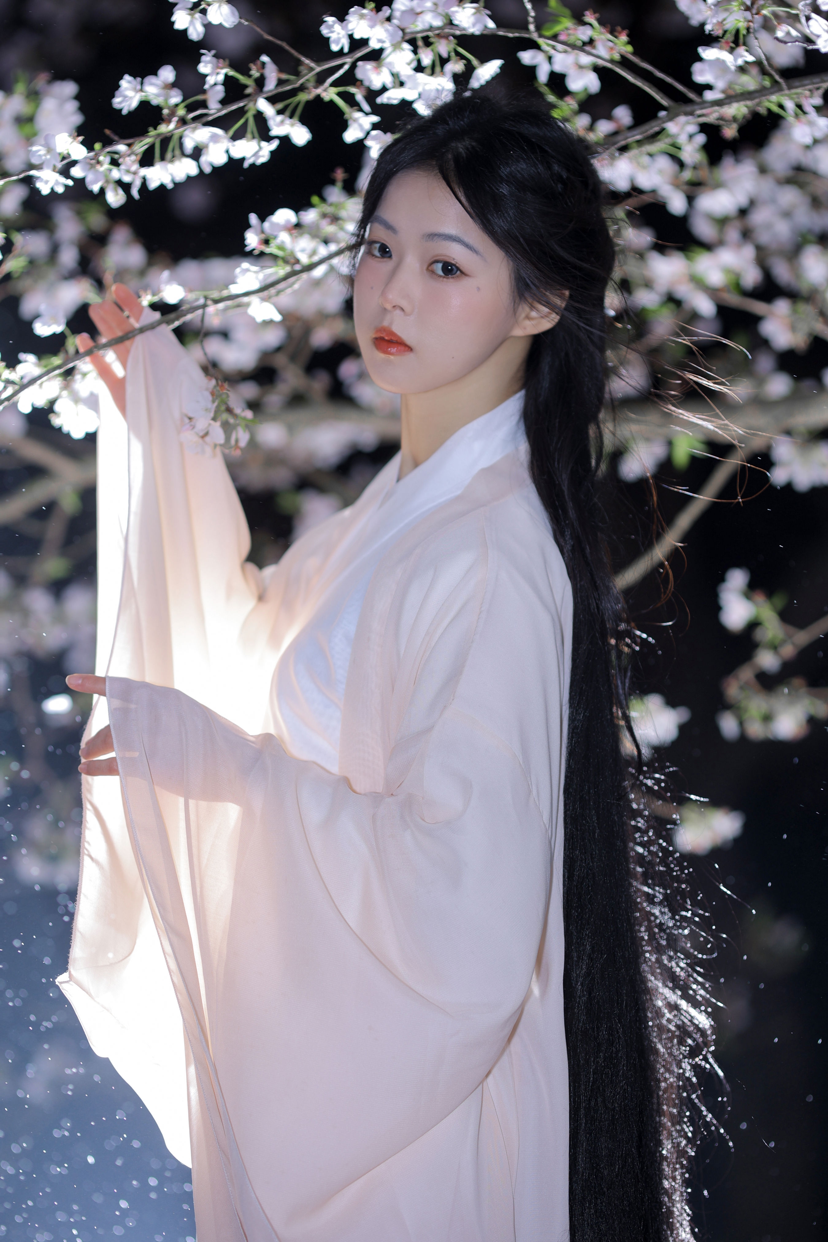 夜樱1