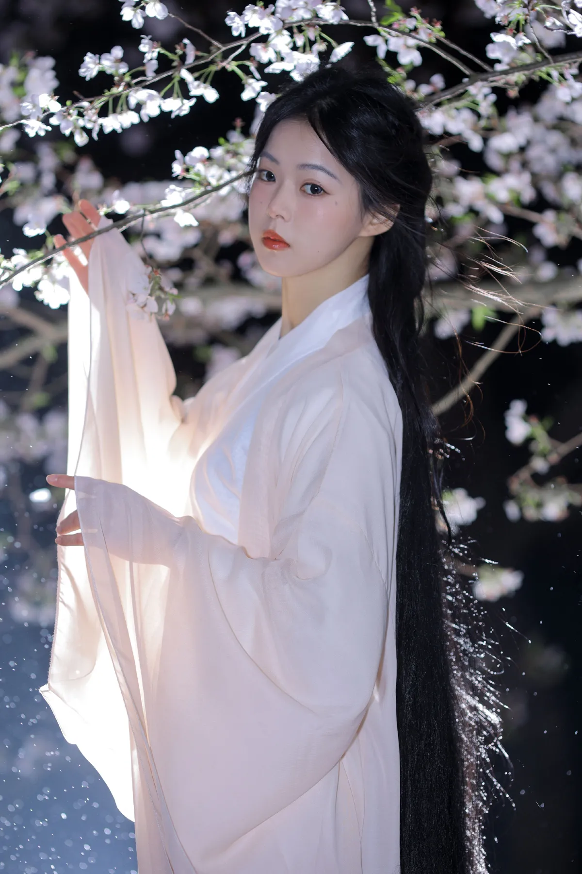 夜樱