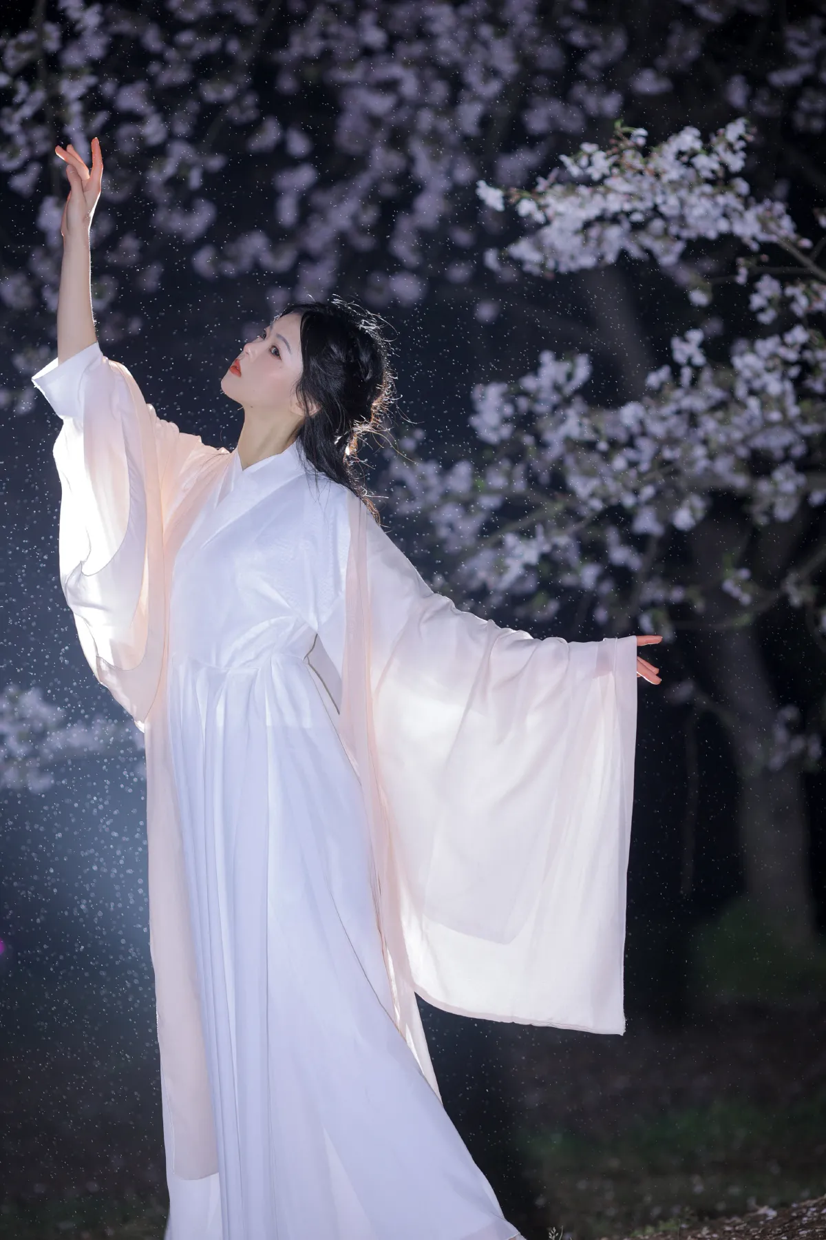 夜樱