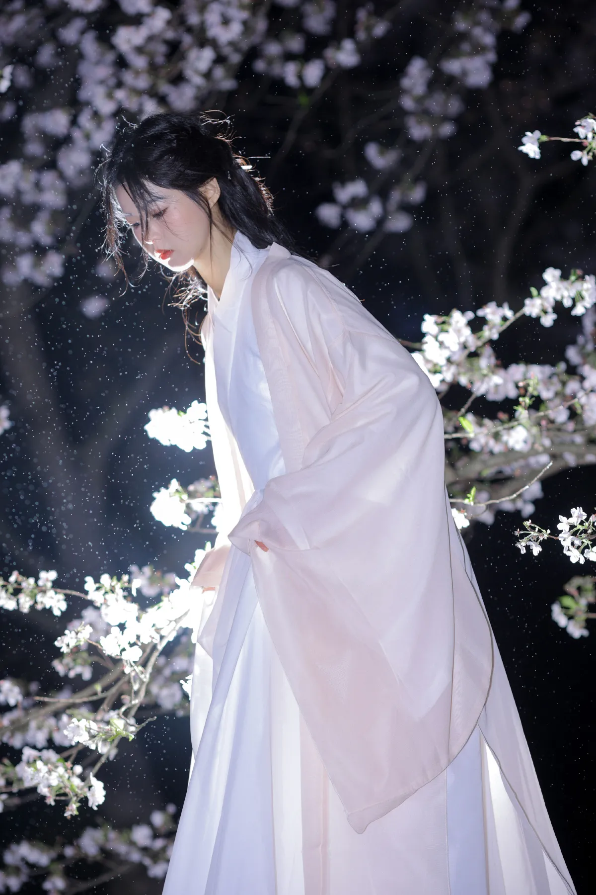 夜樱