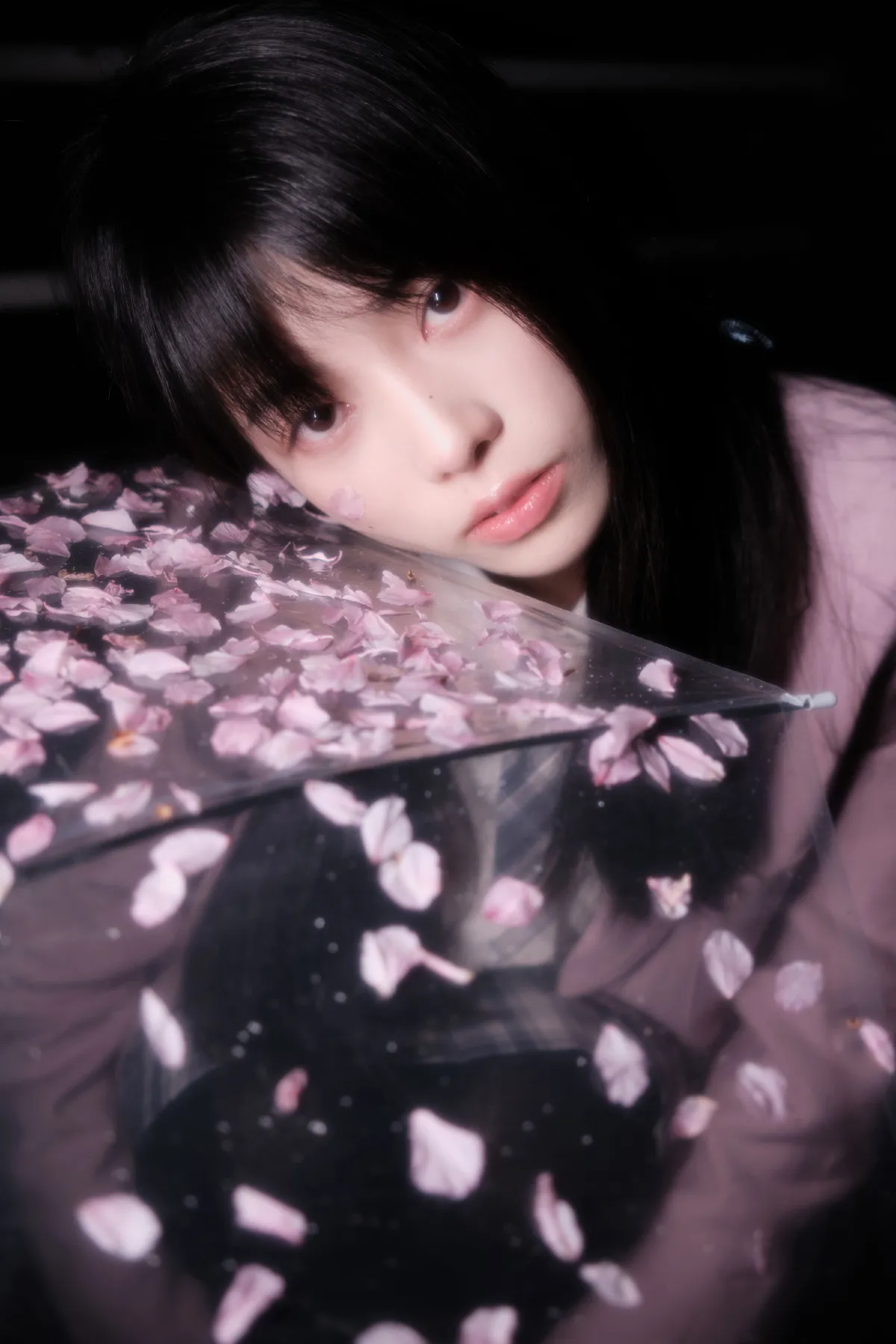 夜樱jk