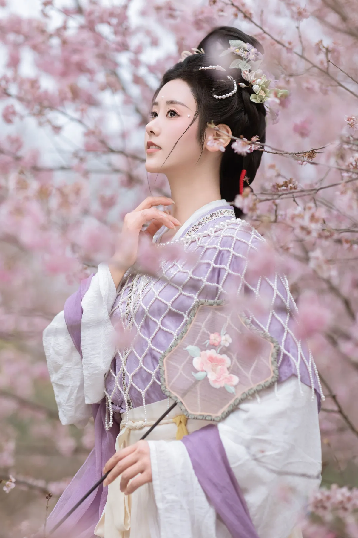 春日赏樱