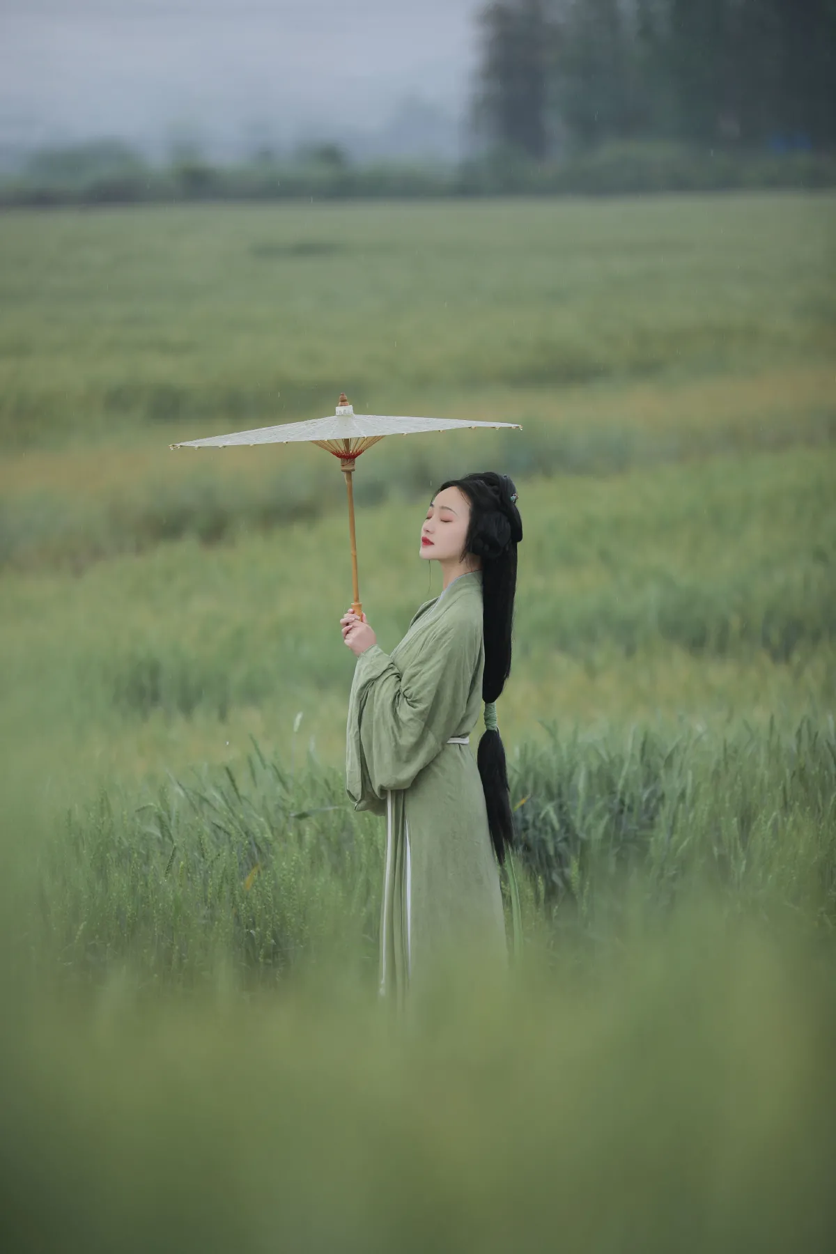 悠悠麦浪3