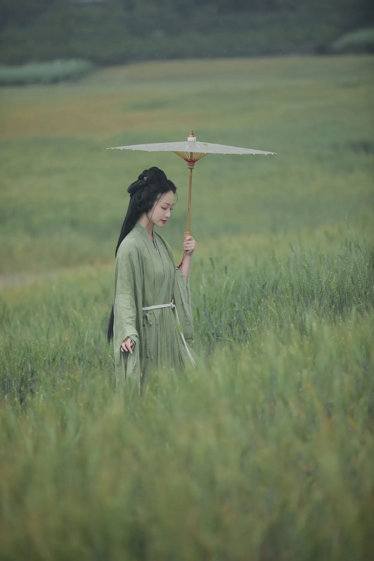 悠悠麦浪