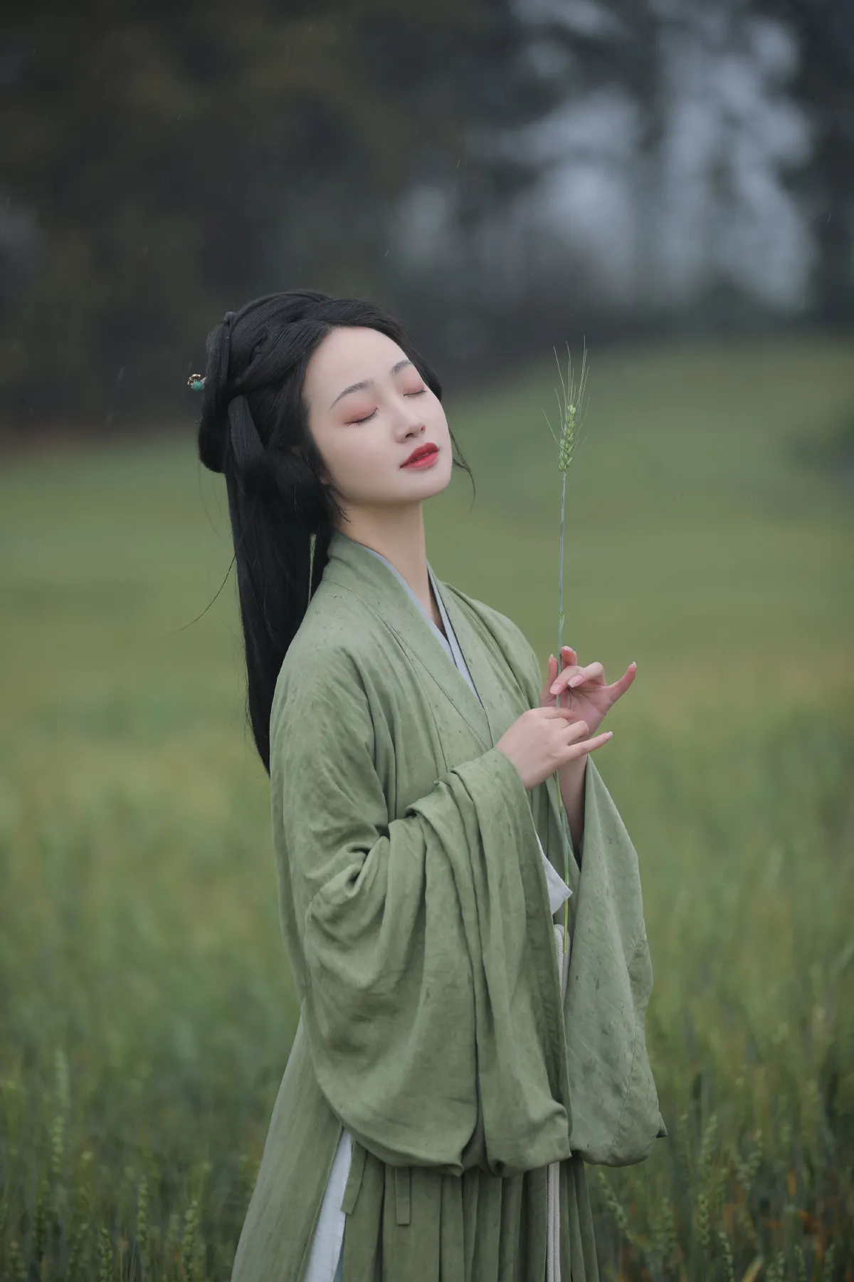 悠悠麦浪