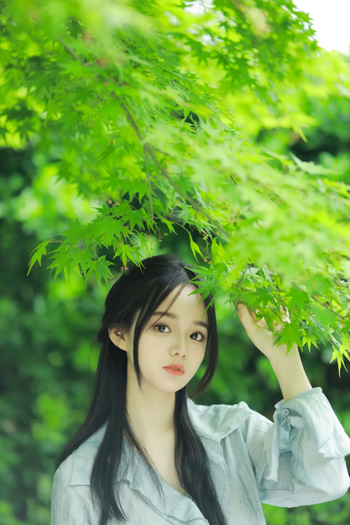 春之绿