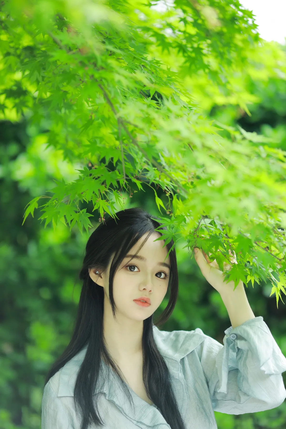 春之绿1
