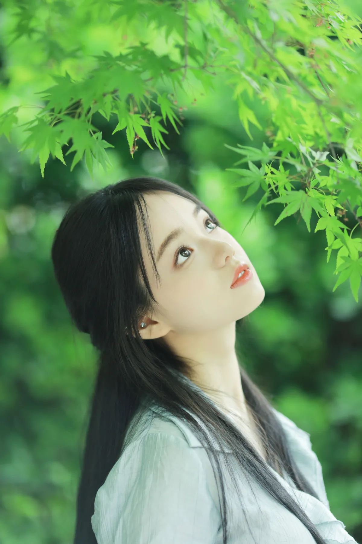 春之绿2