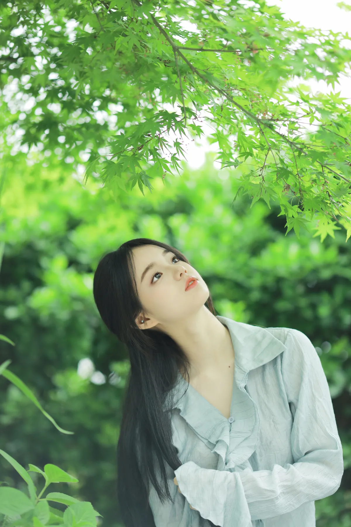 春之绿