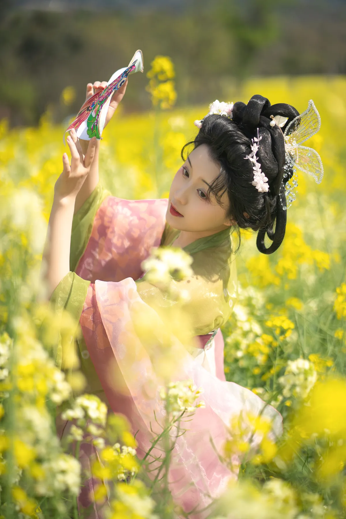 油菜花3