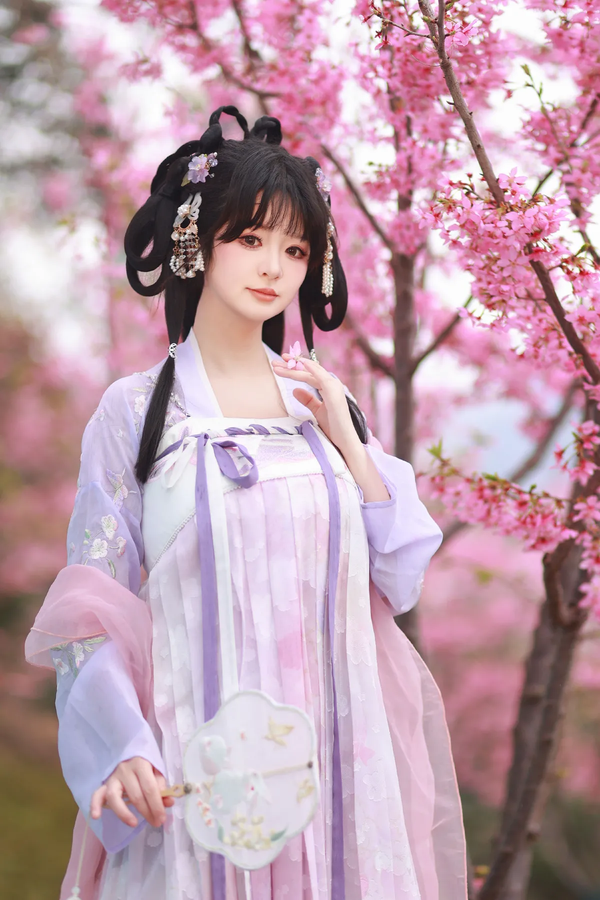 粉樱梦