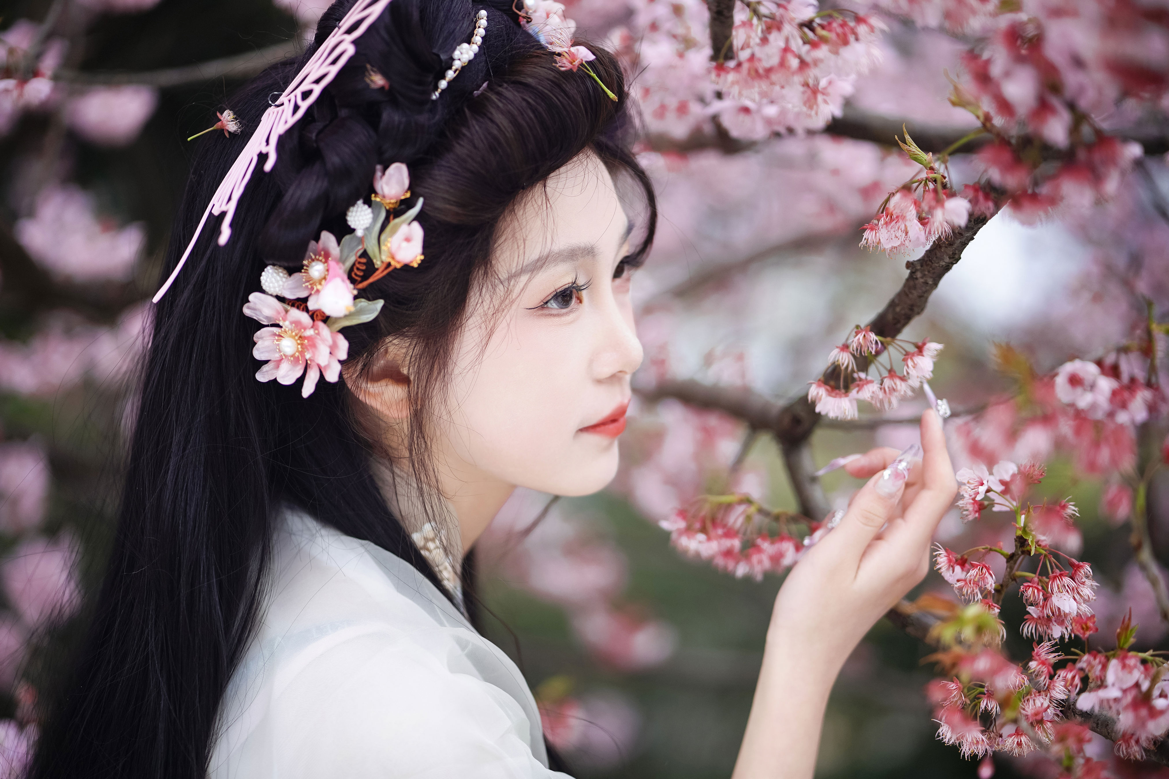 春天1