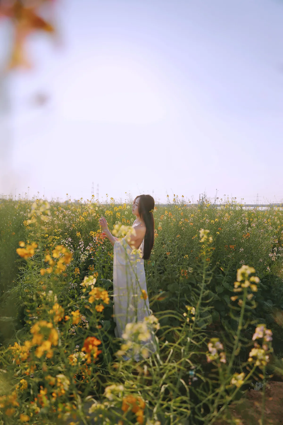 七彩花田之美