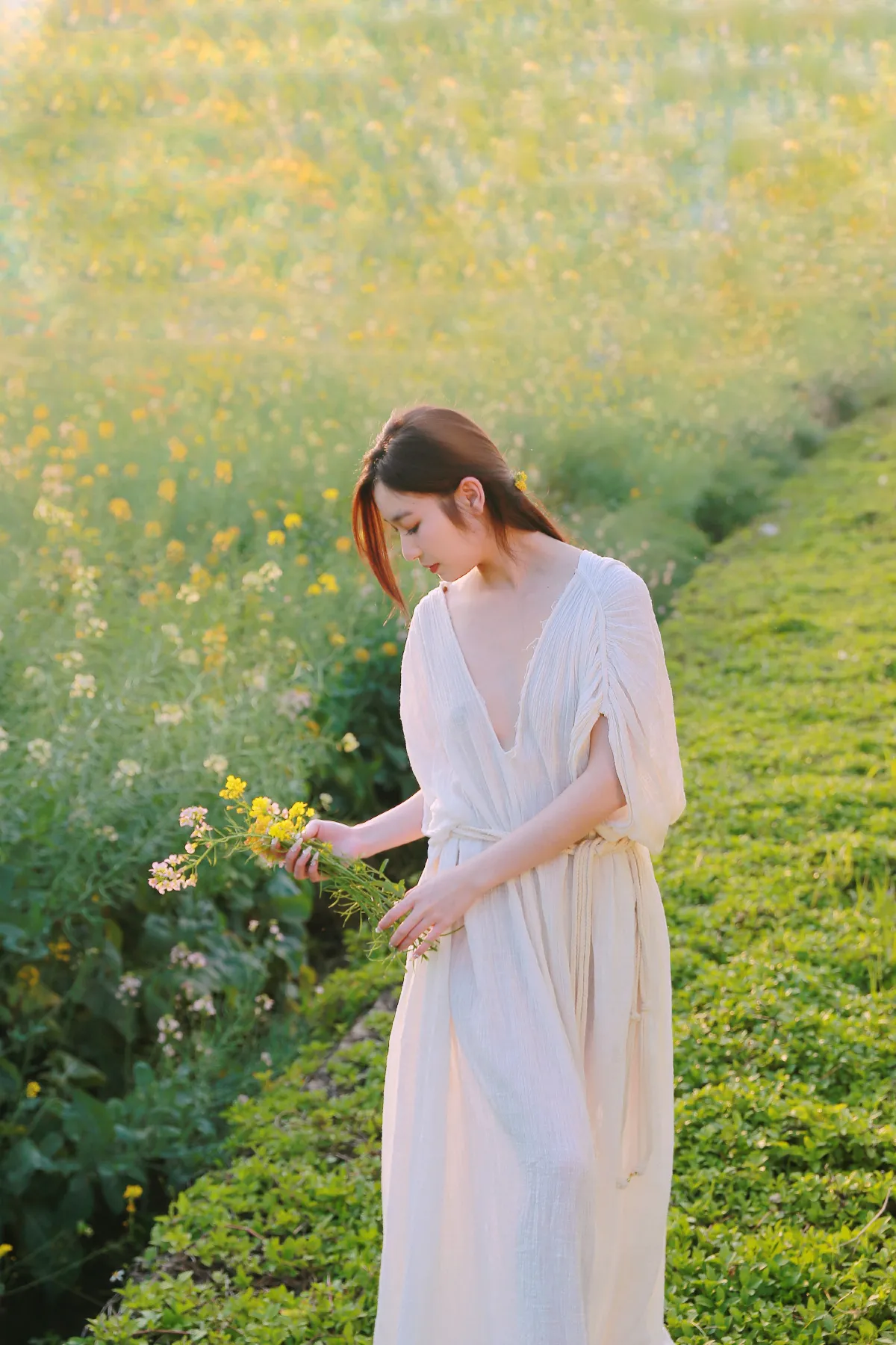 七彩花田之美1