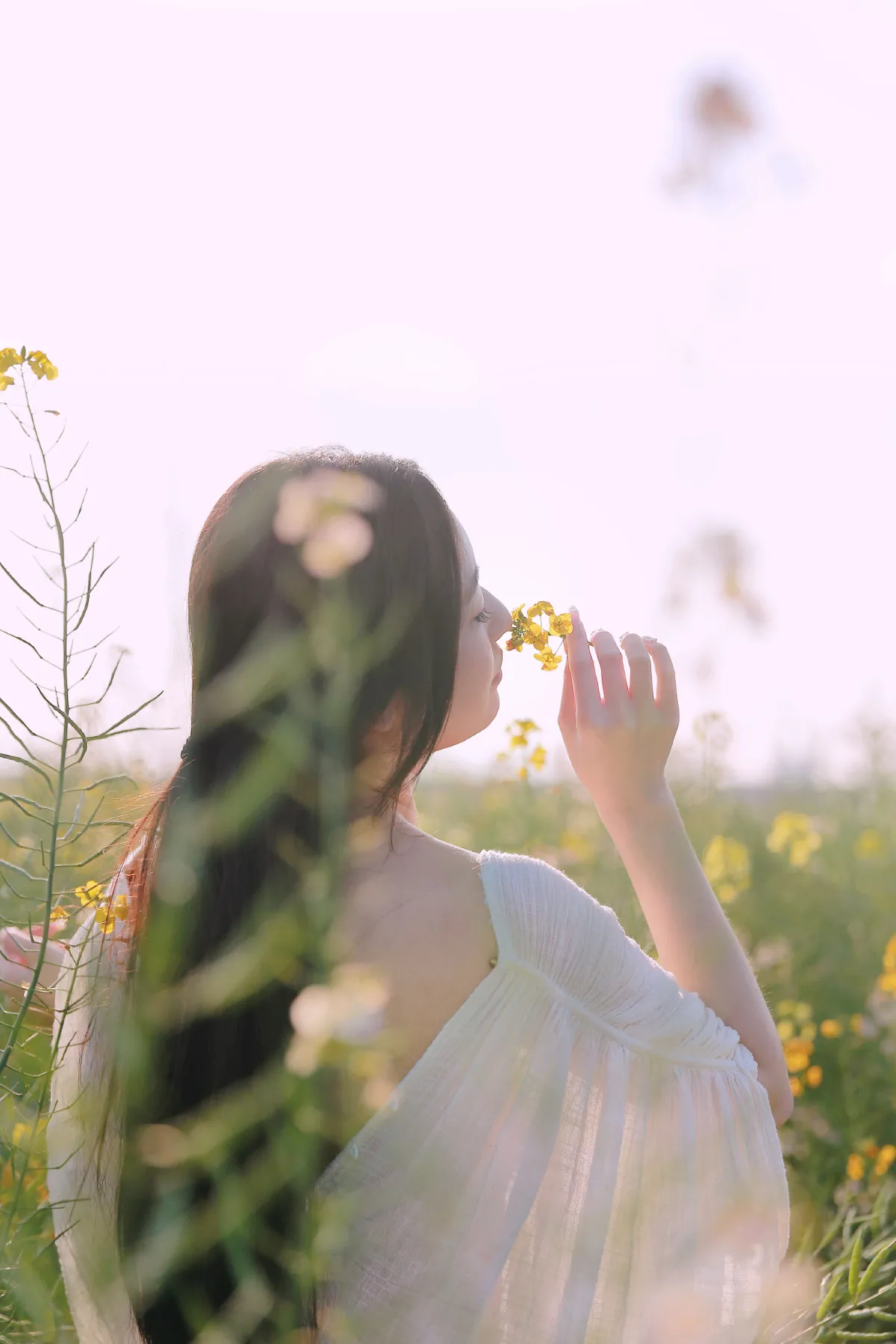 七彩花田之美
