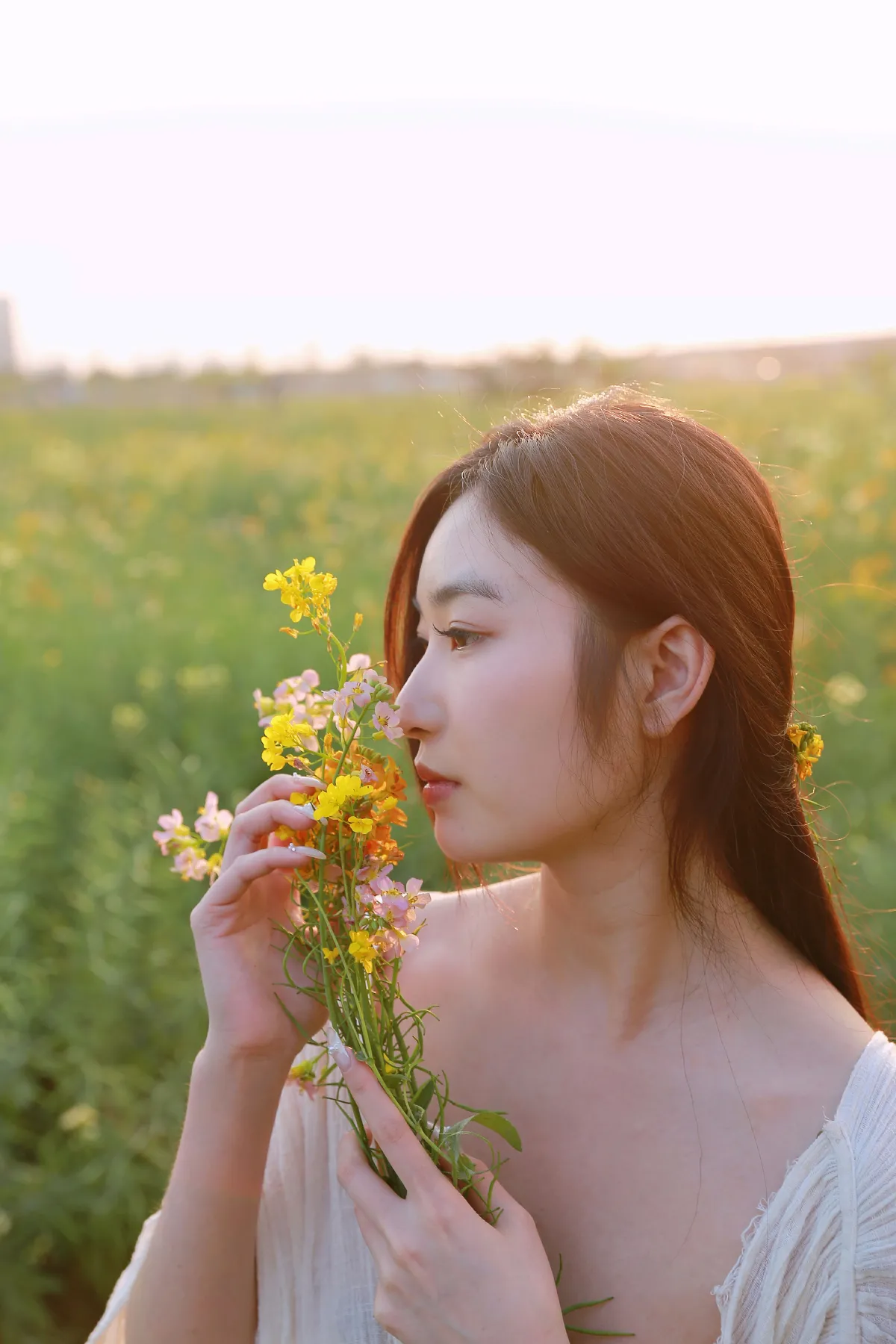 七彩花田之美