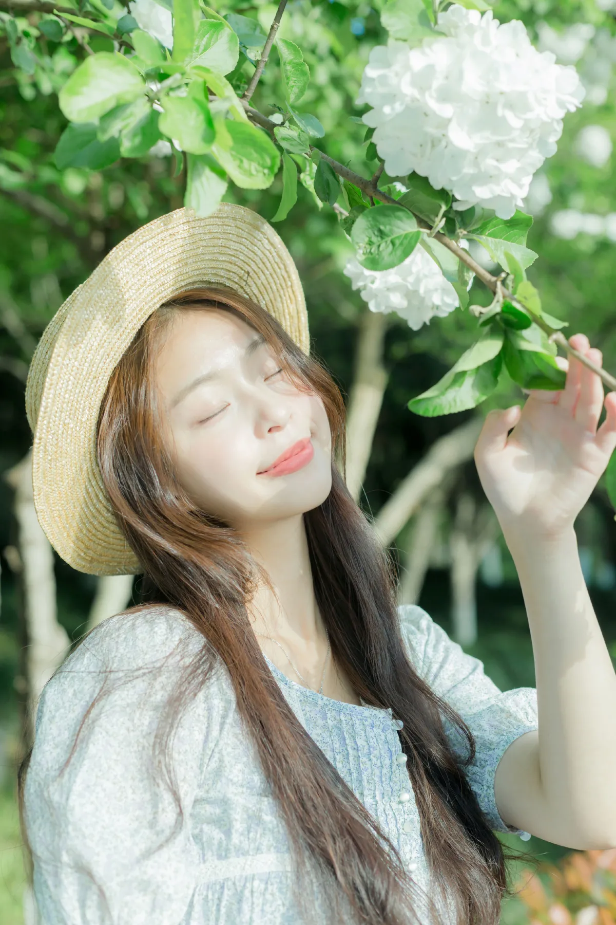 绿色影像诗