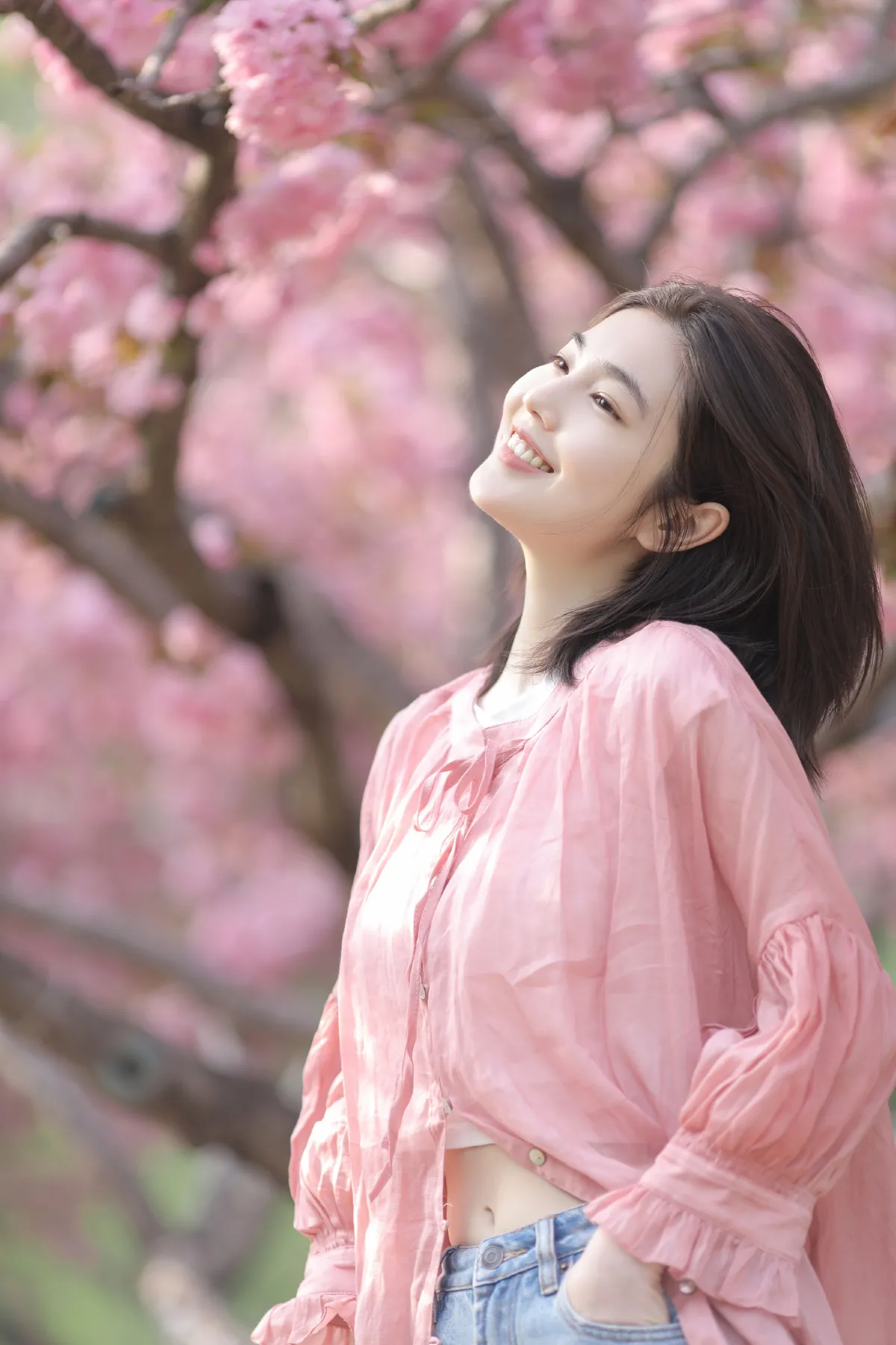 晚樱3
