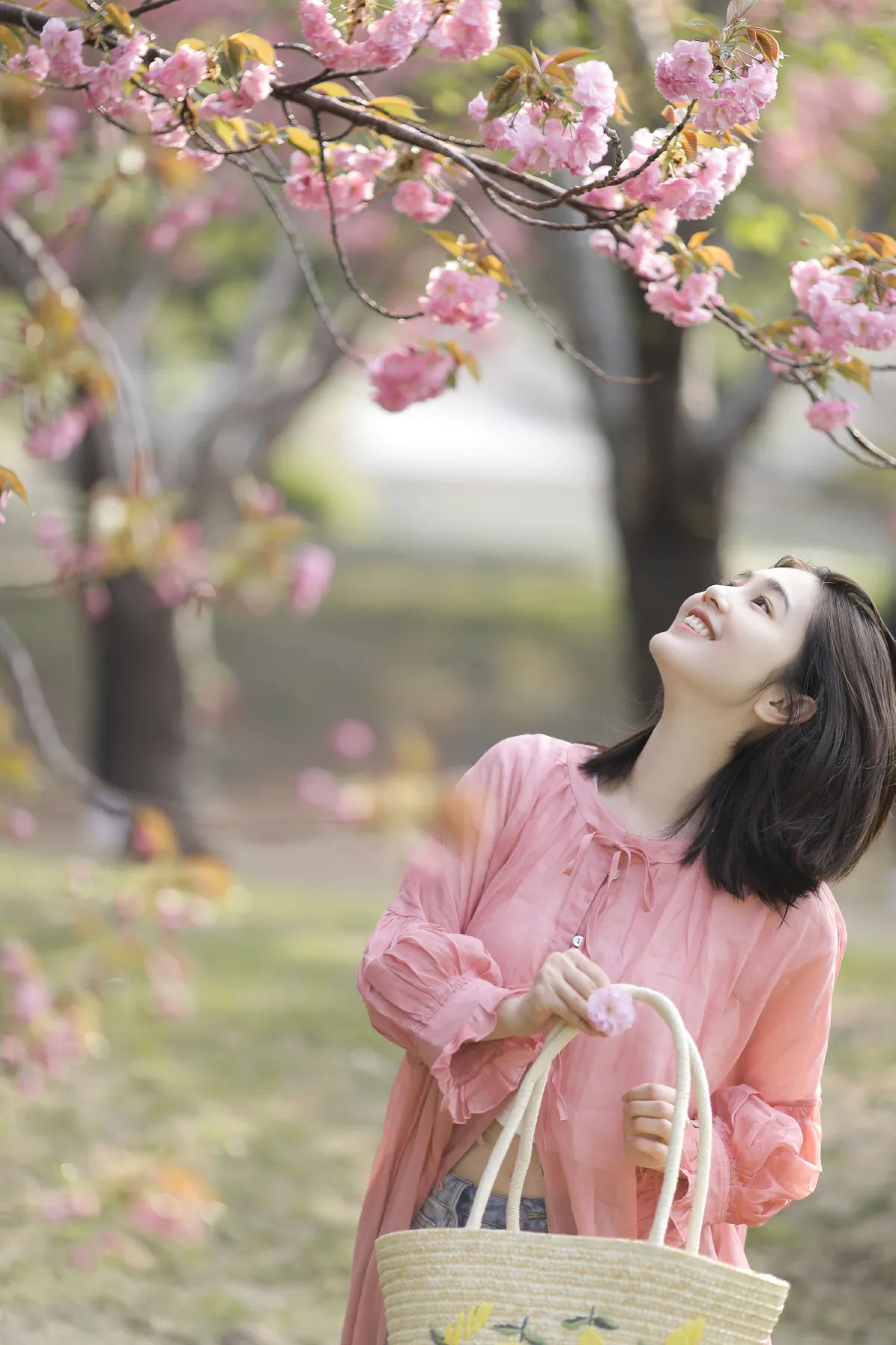晚樱