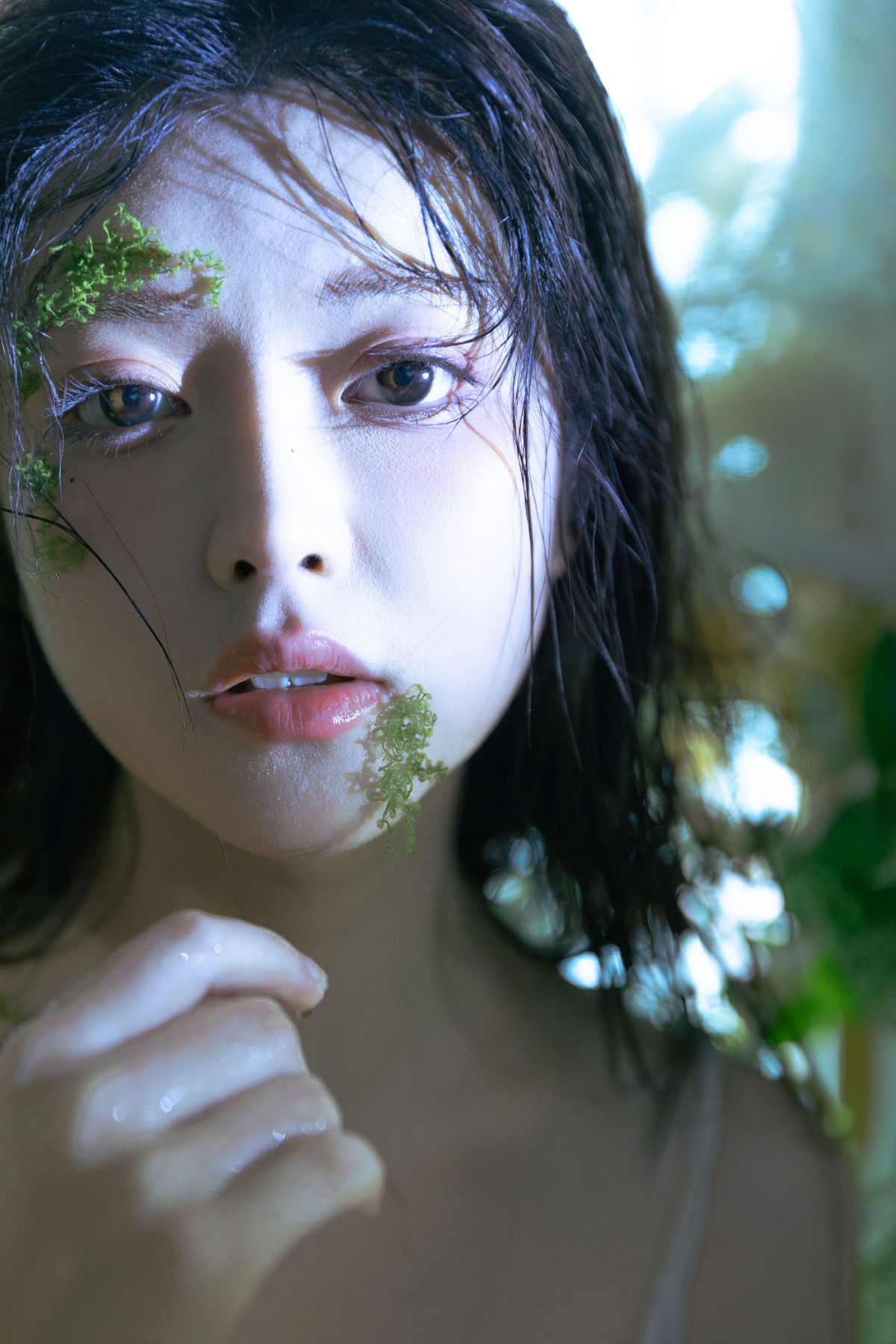 春逝春生2