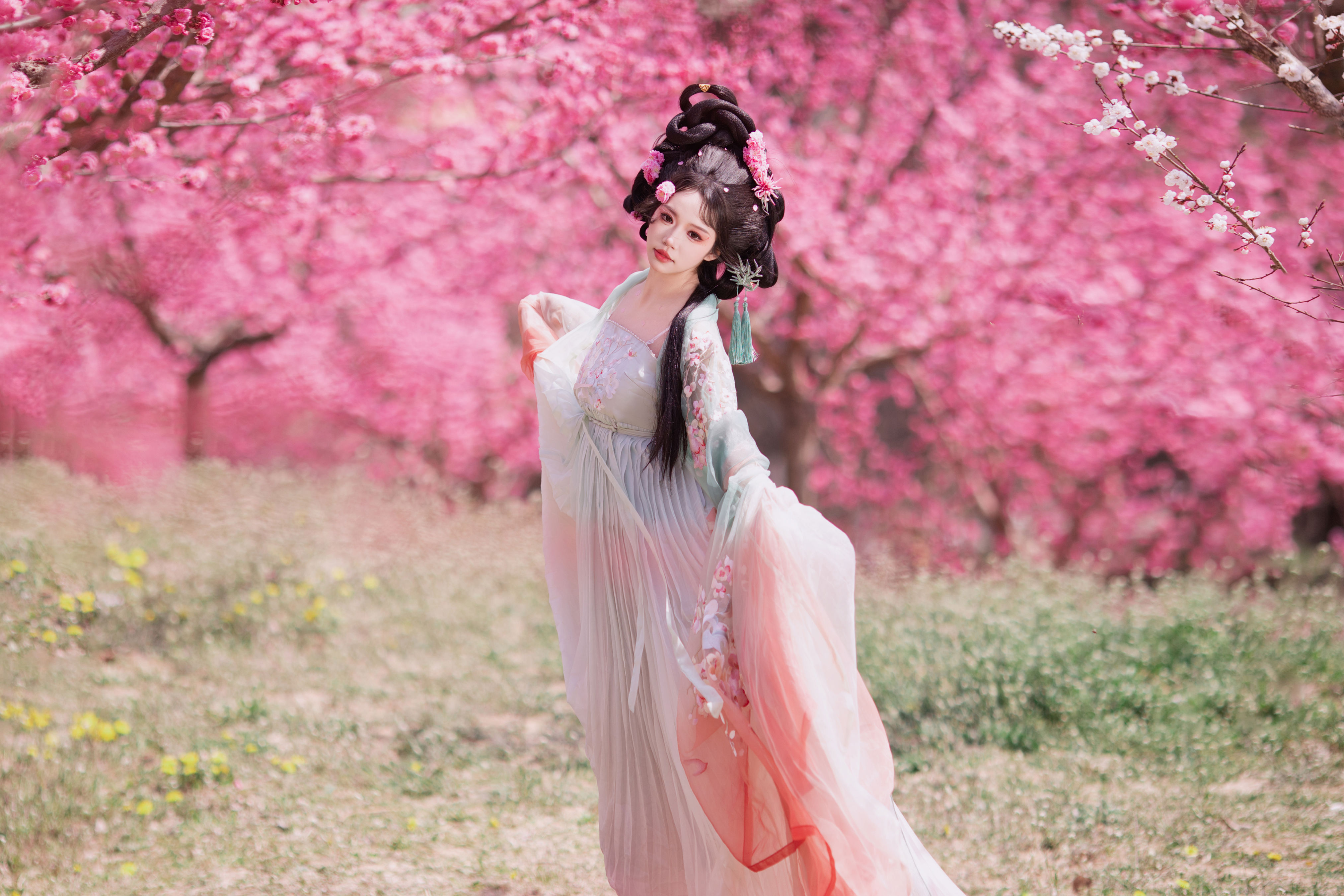 十二花神之梅花