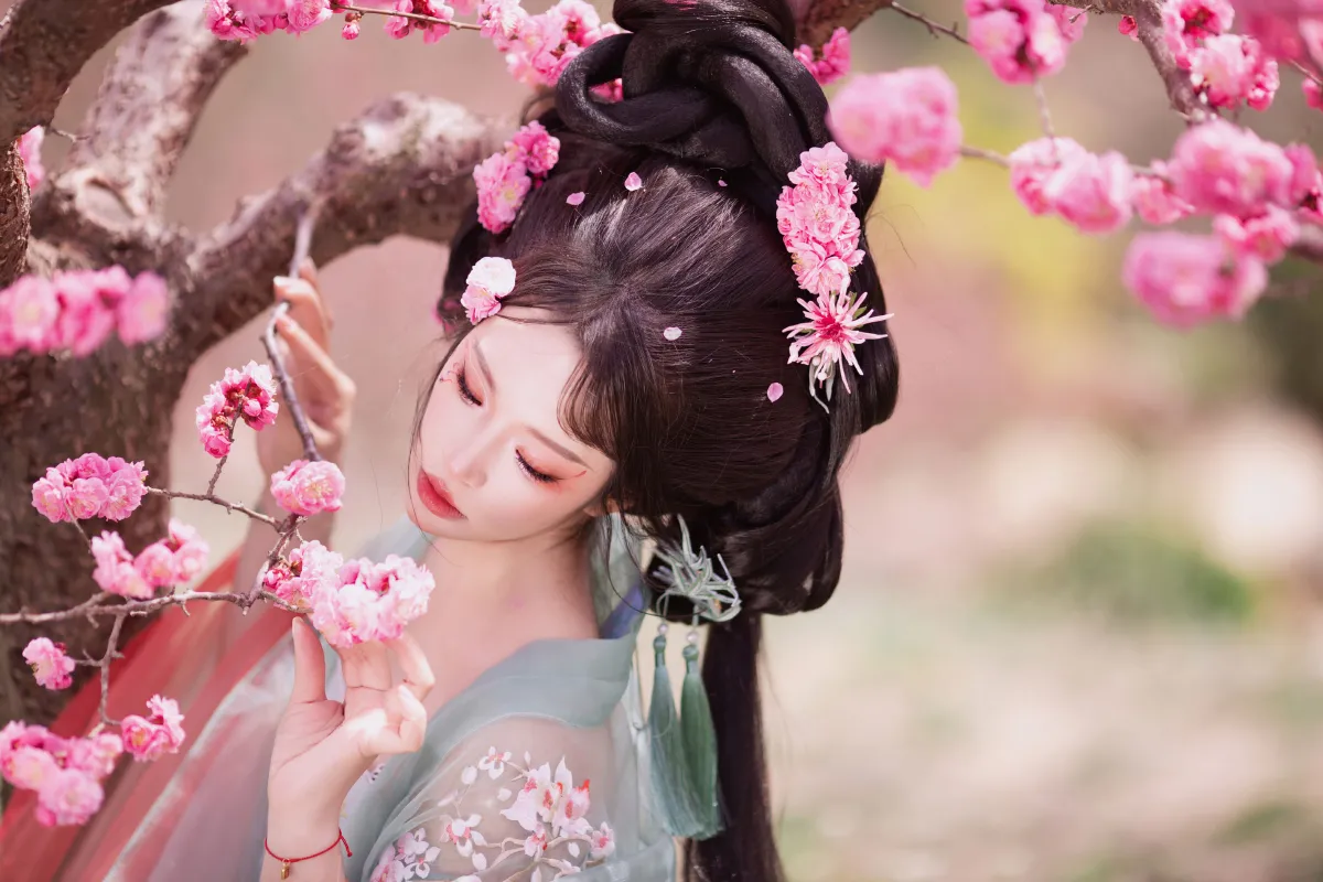 十二花神之梅花