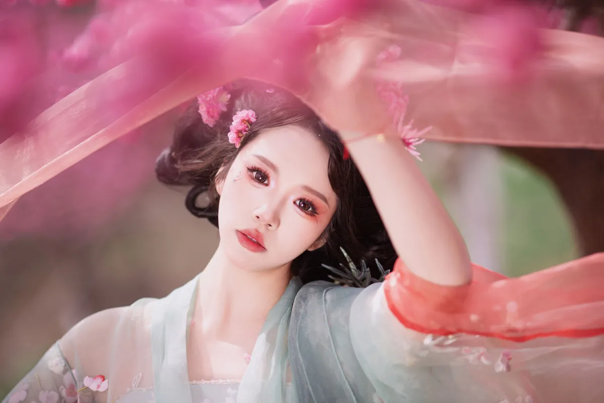 十二花神之梅花