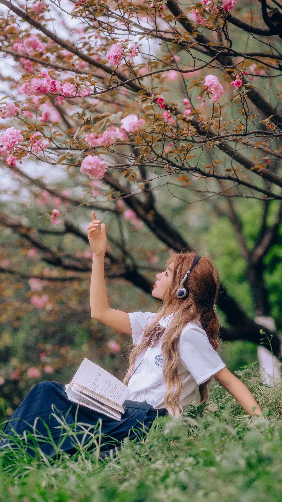 三月的樱花