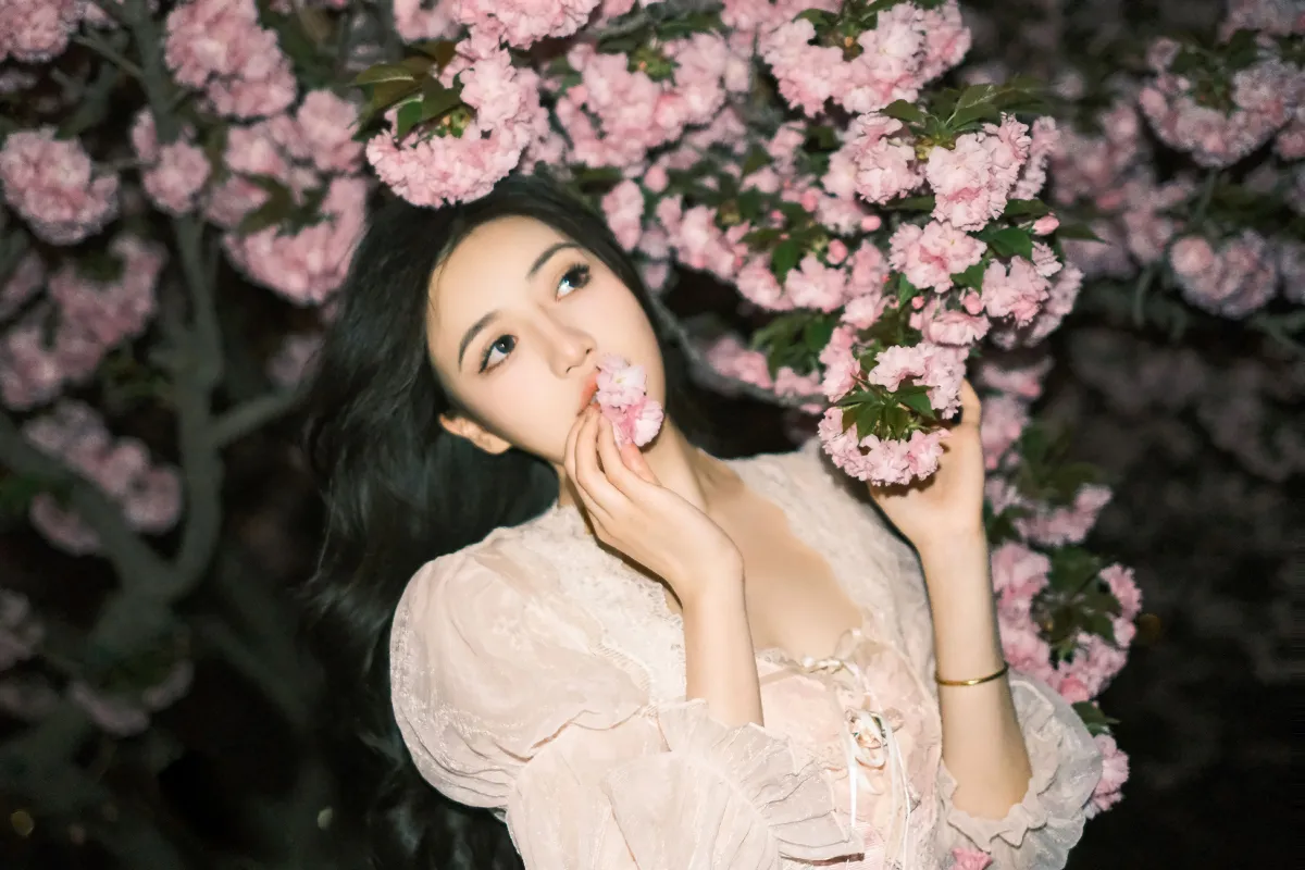 夜樱