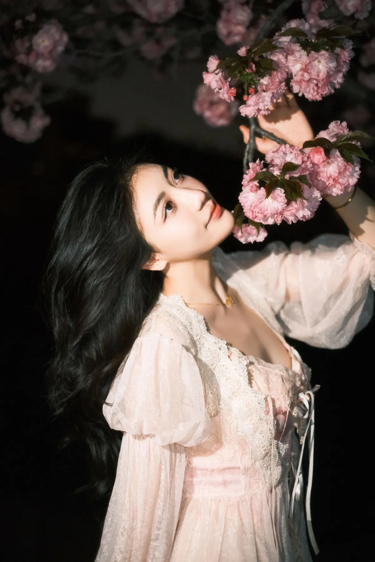 夜樱