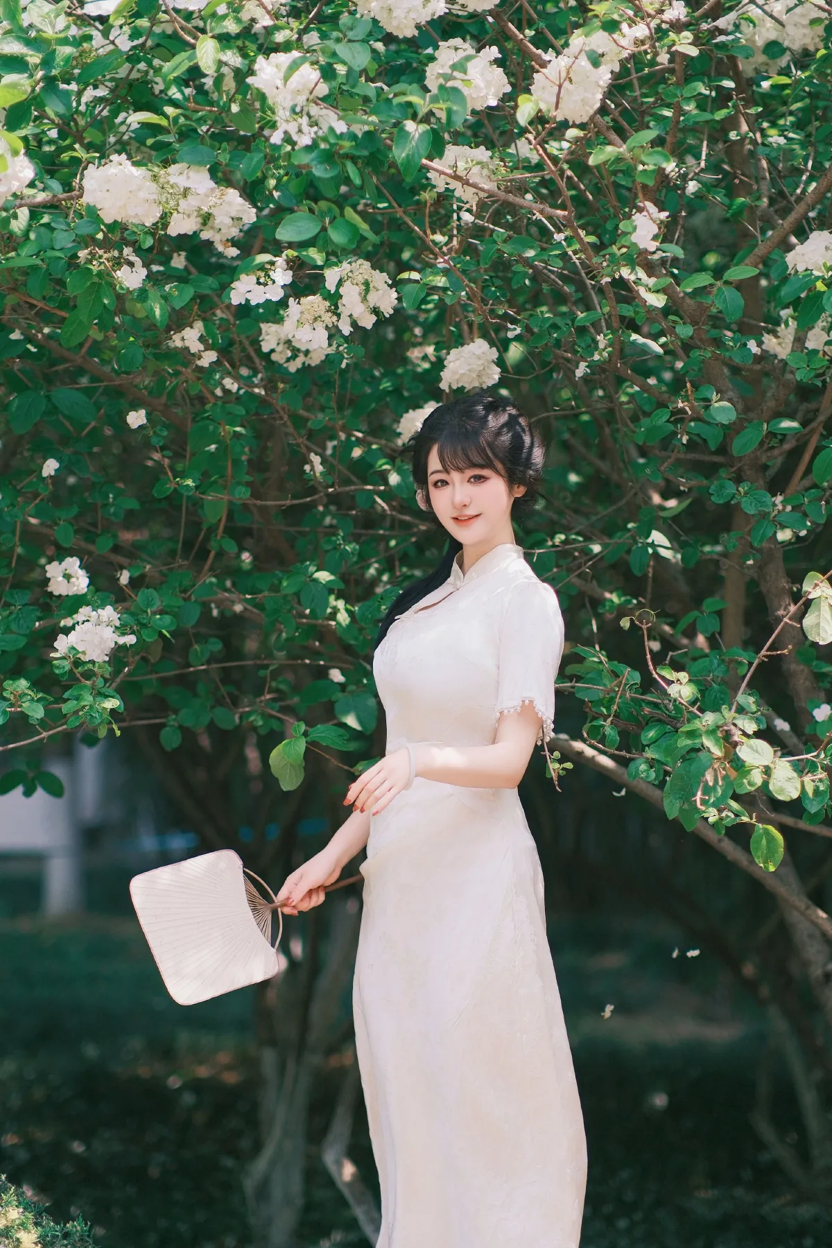 花落白1