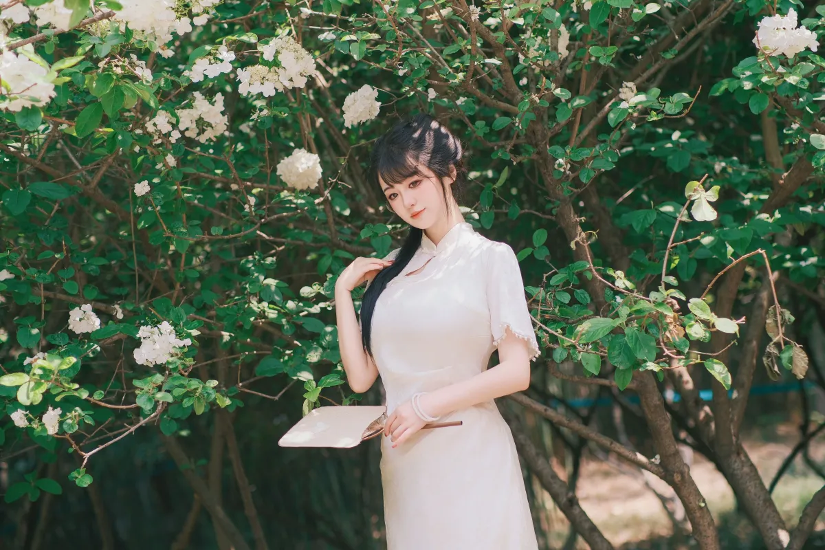 花落白3