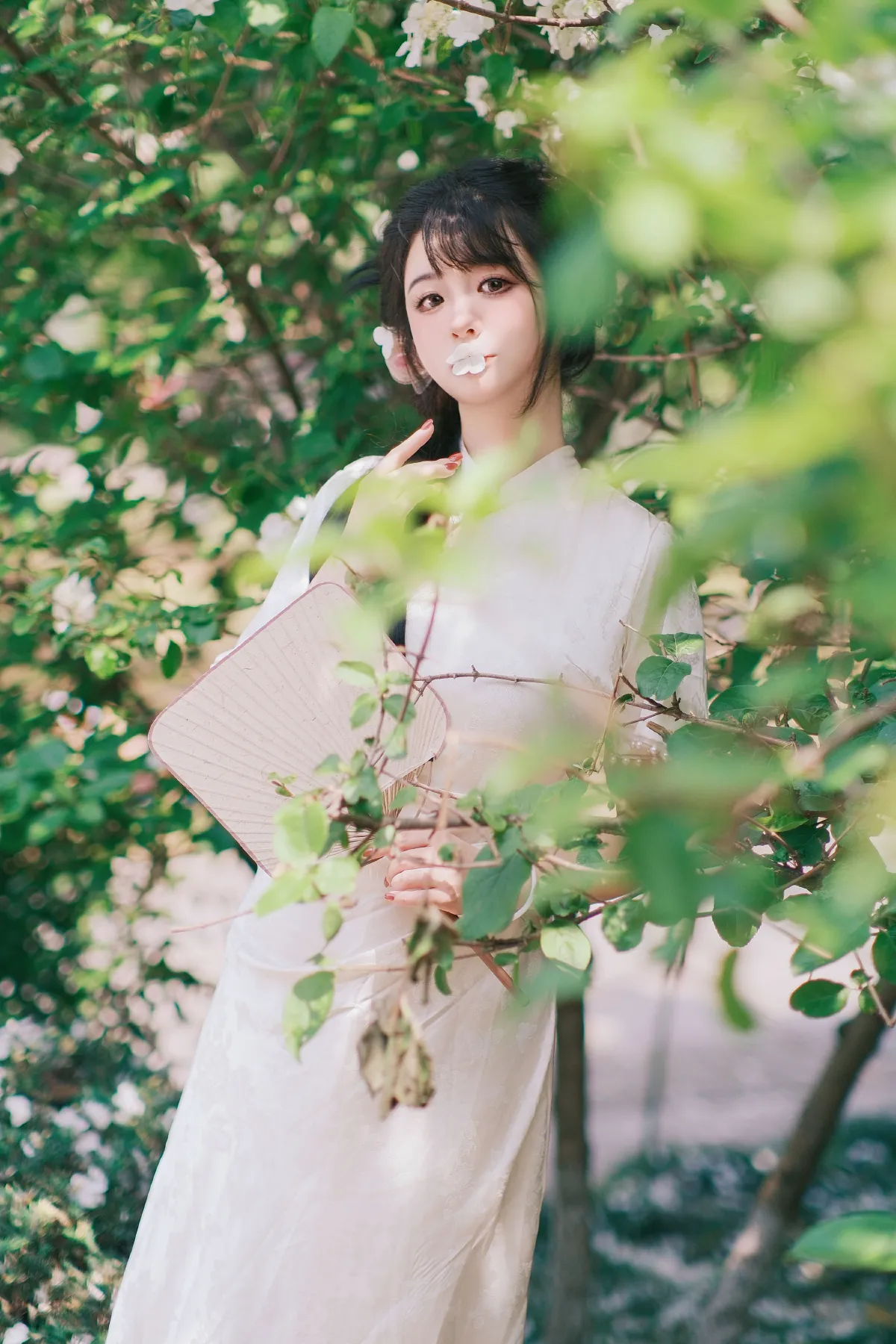 花落白