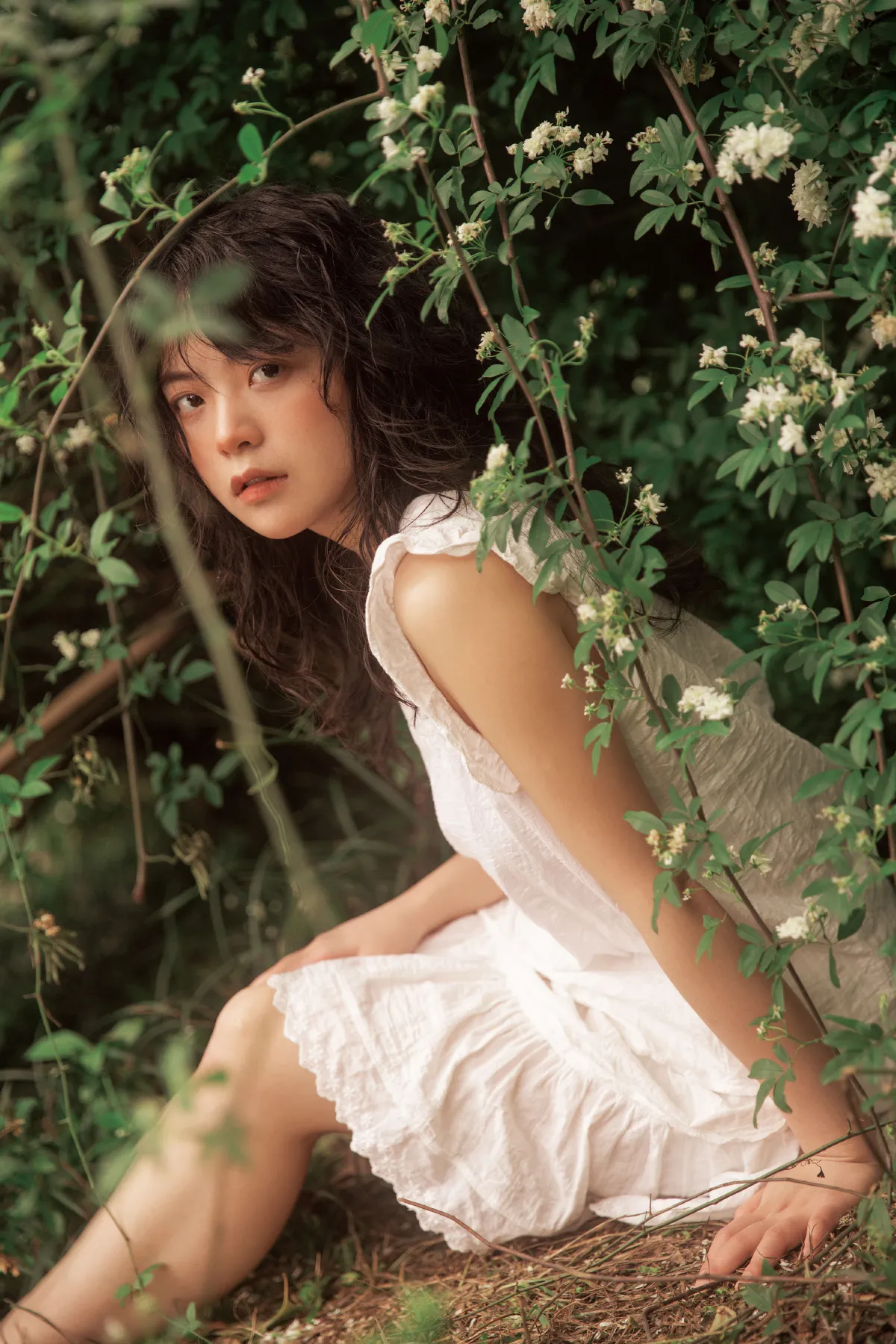 七里香1