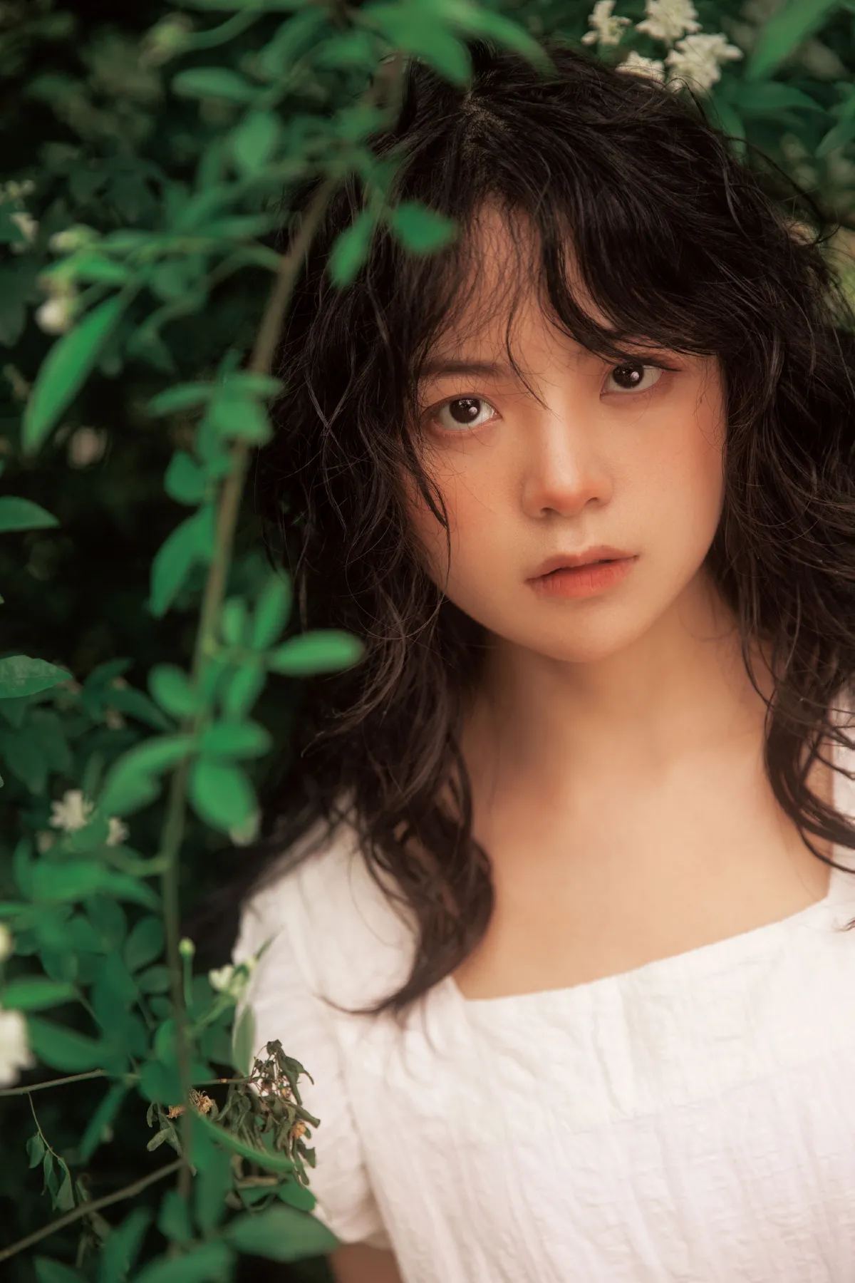 七里香