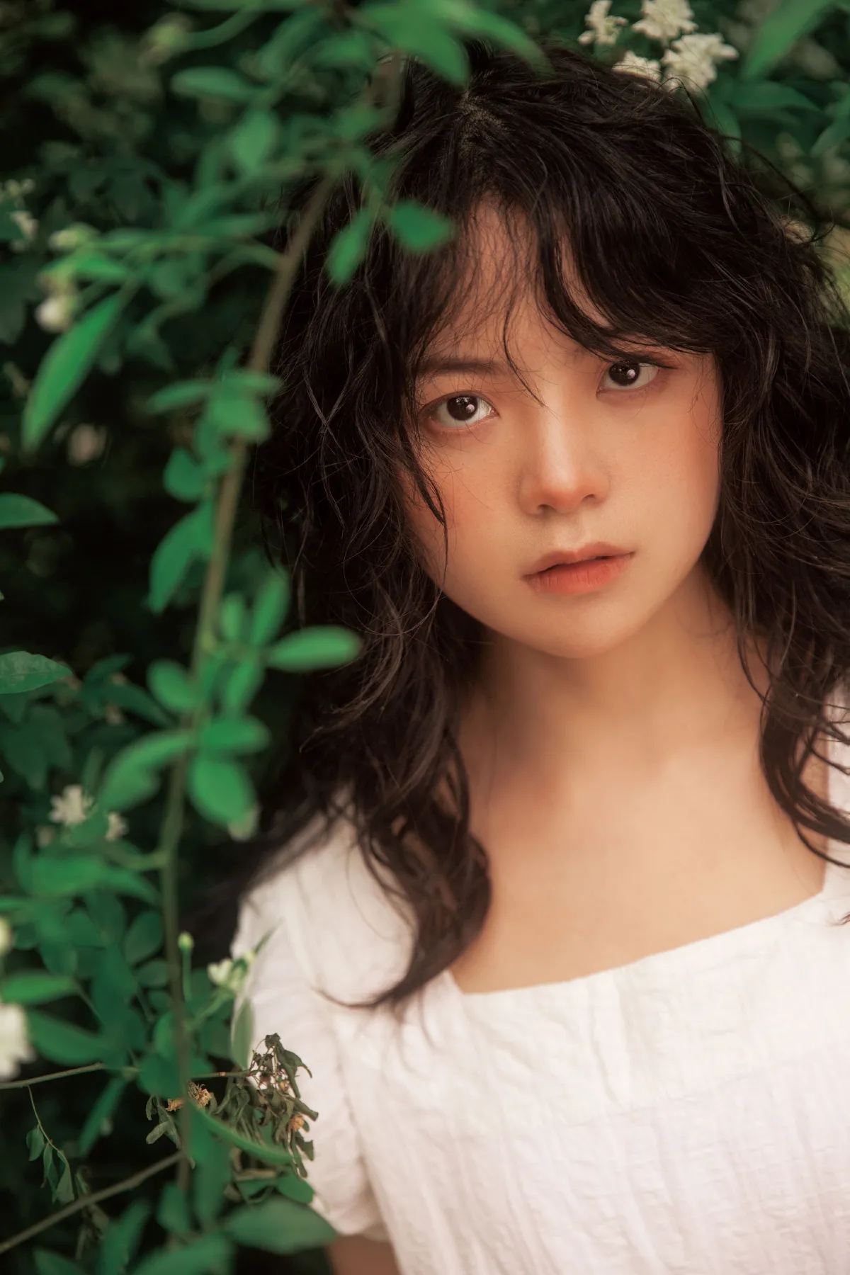 七里香2