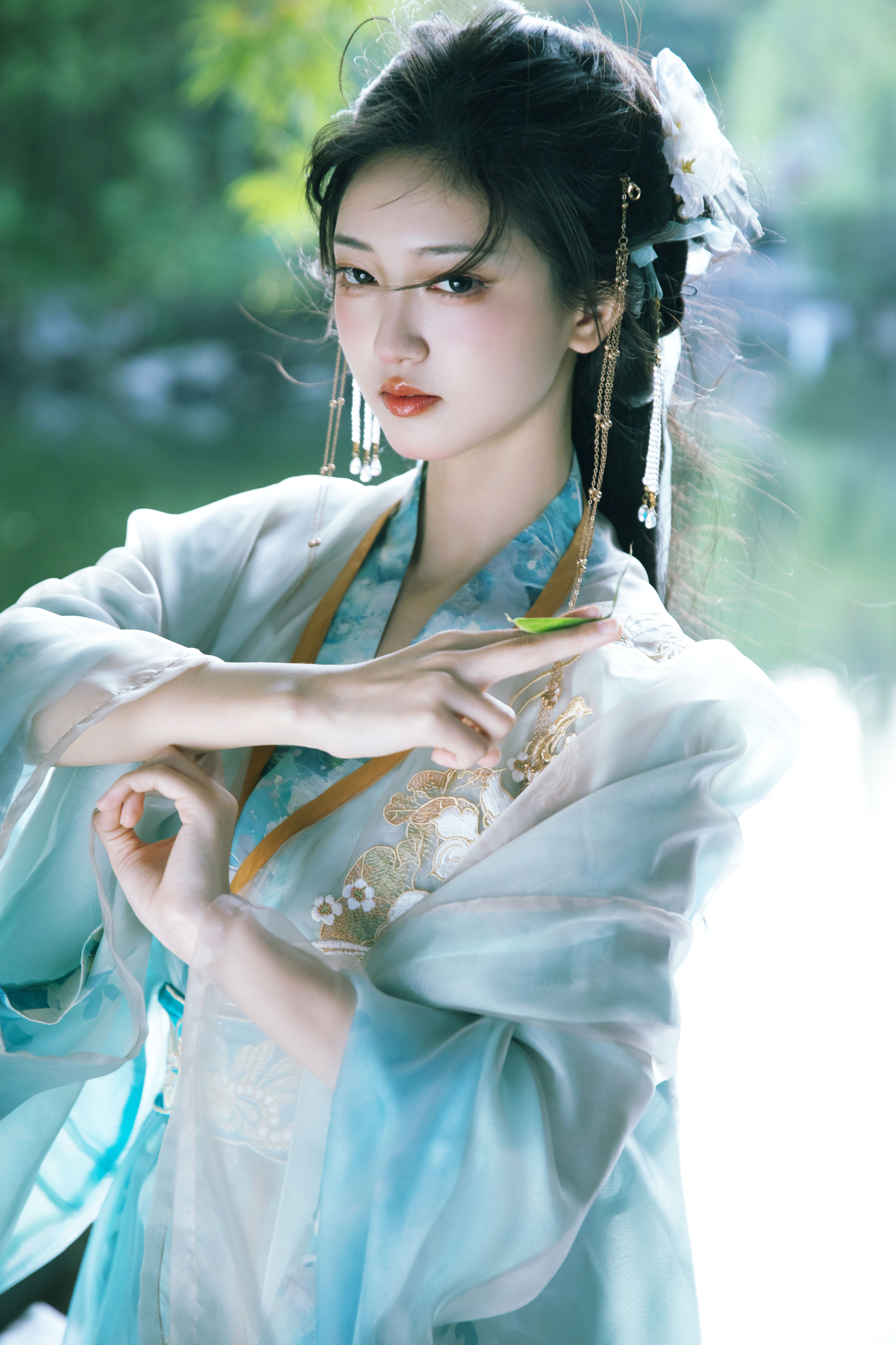蒹葭