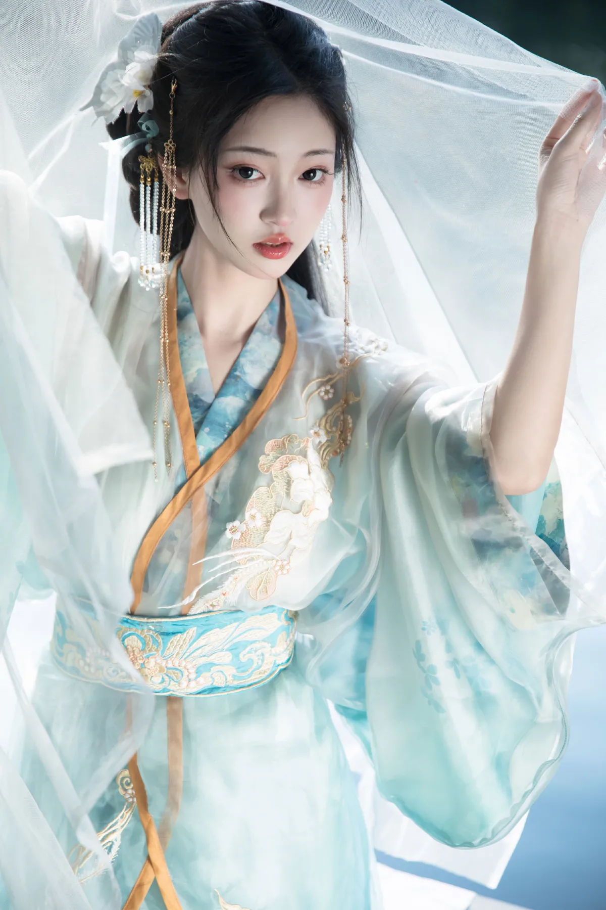 蒹葭