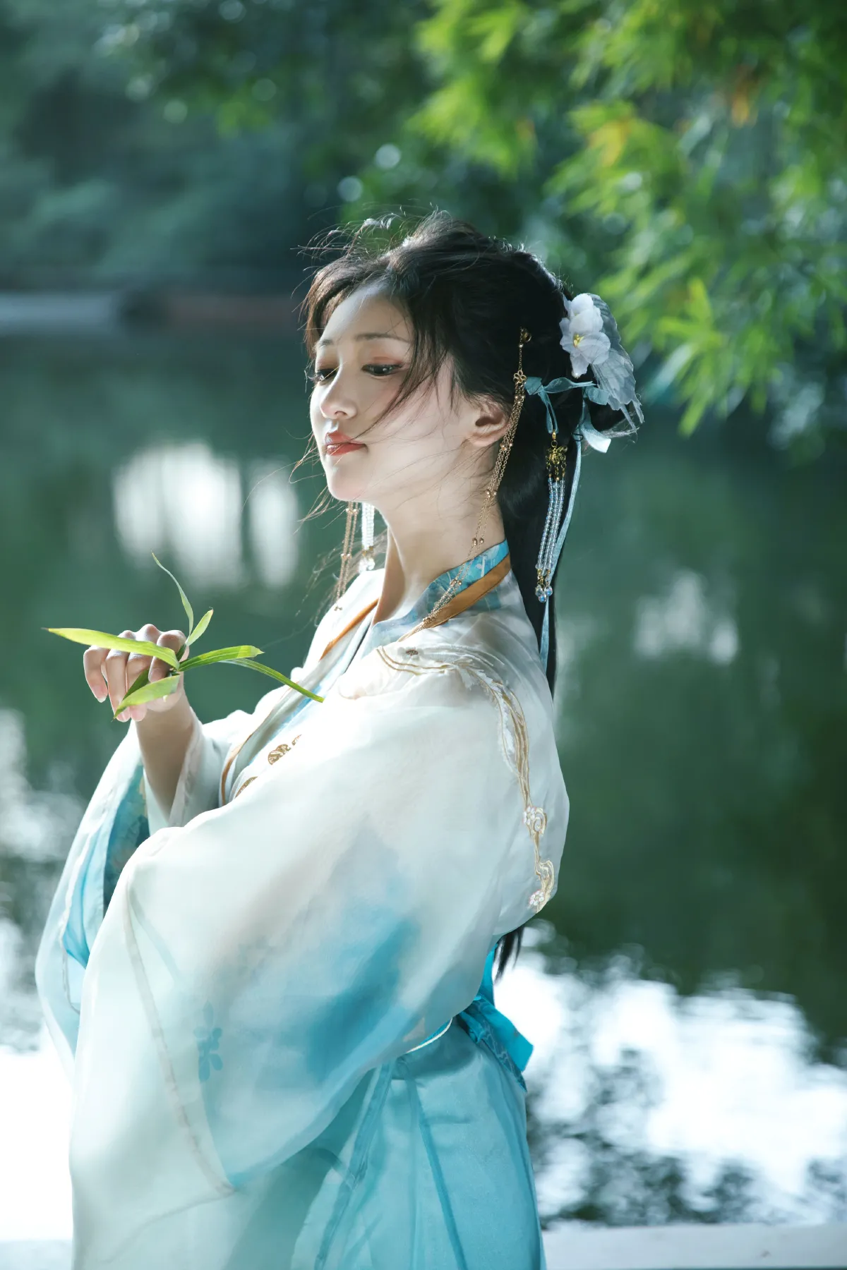 蒹葭