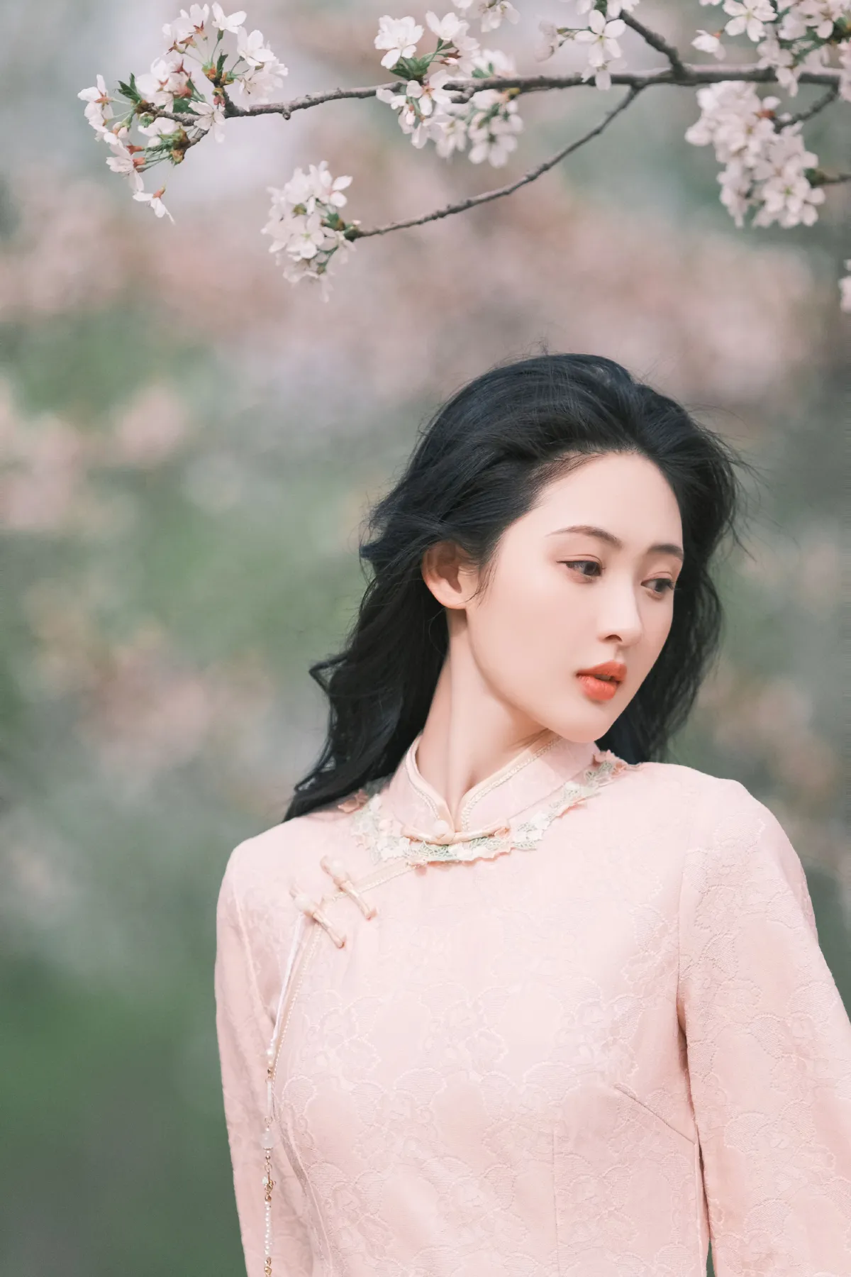 樱吹雪3