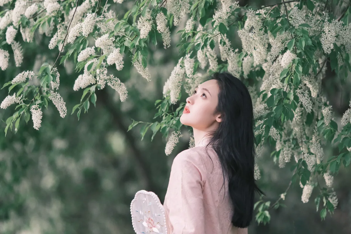 Sa娇少女写真馆_豌豆雀斑少女《樱吹雪》美图作品图片4