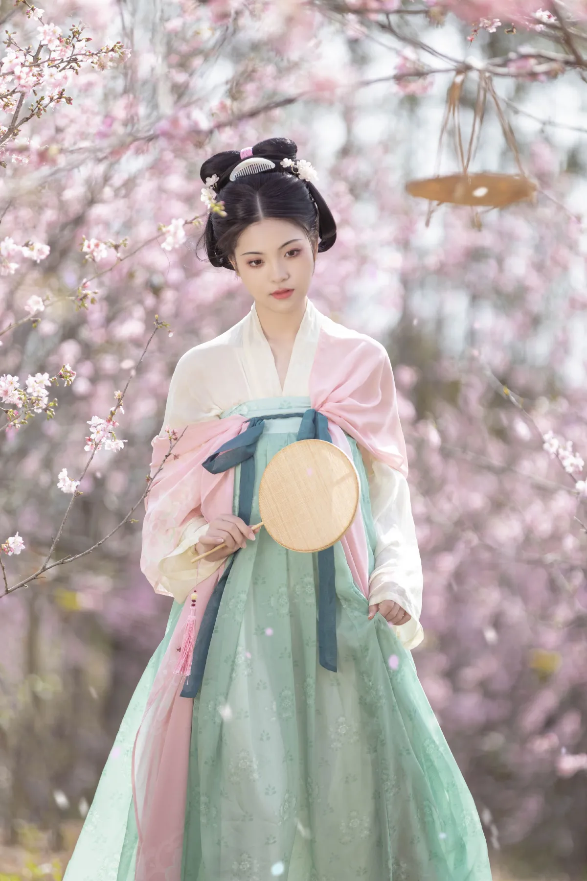春樱