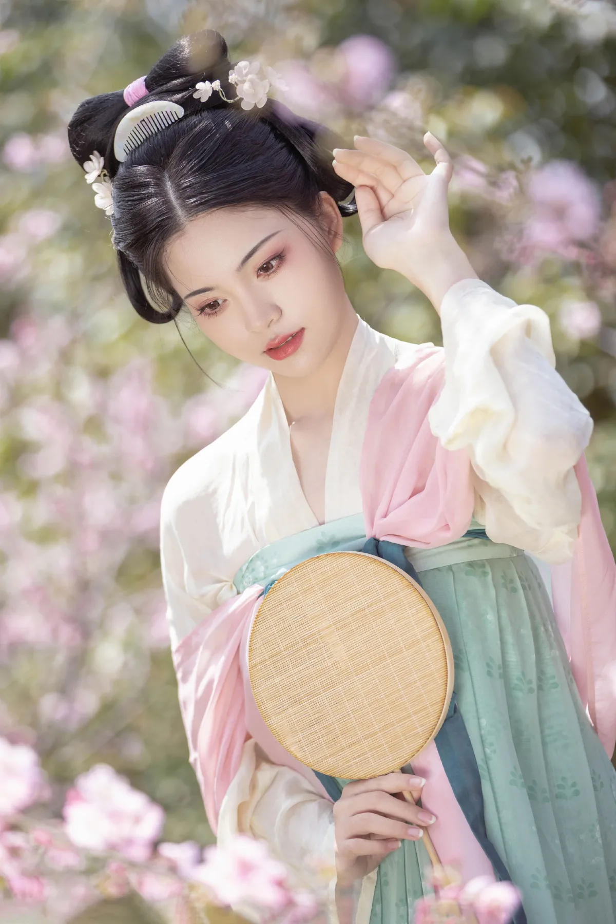 春樱3