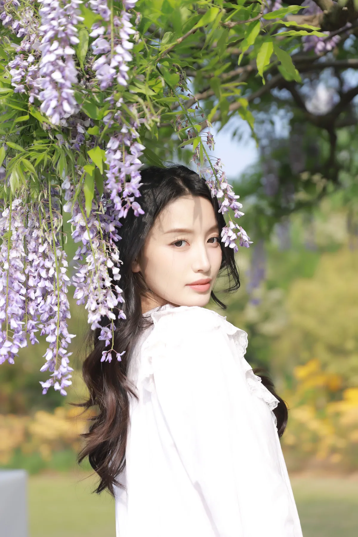 新西兰的风