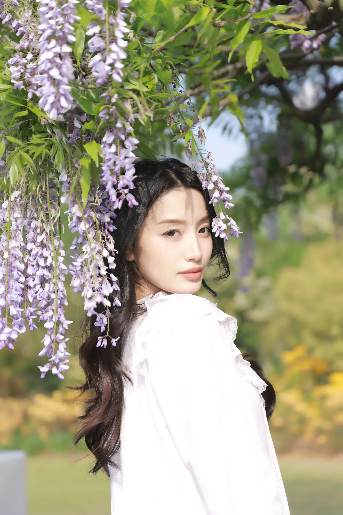 新西兰的风2