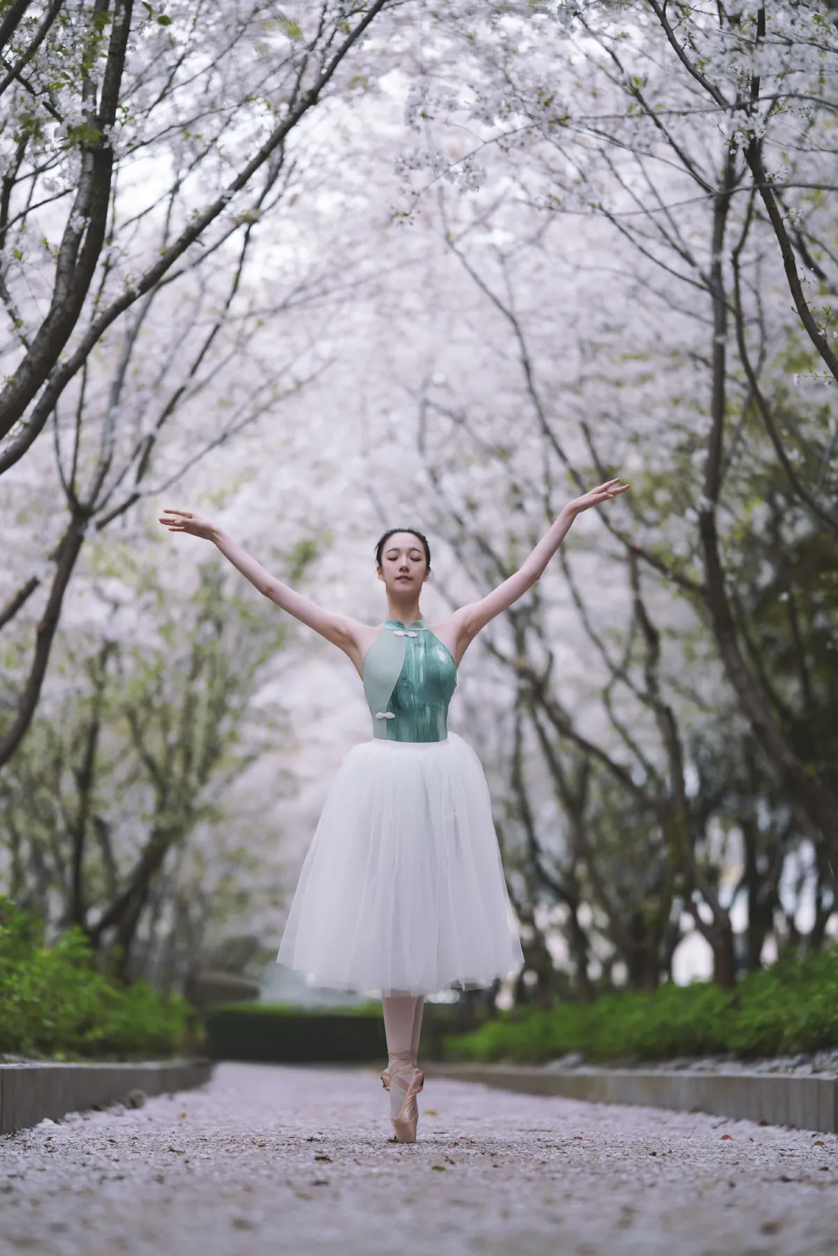 樱花芭蕾3