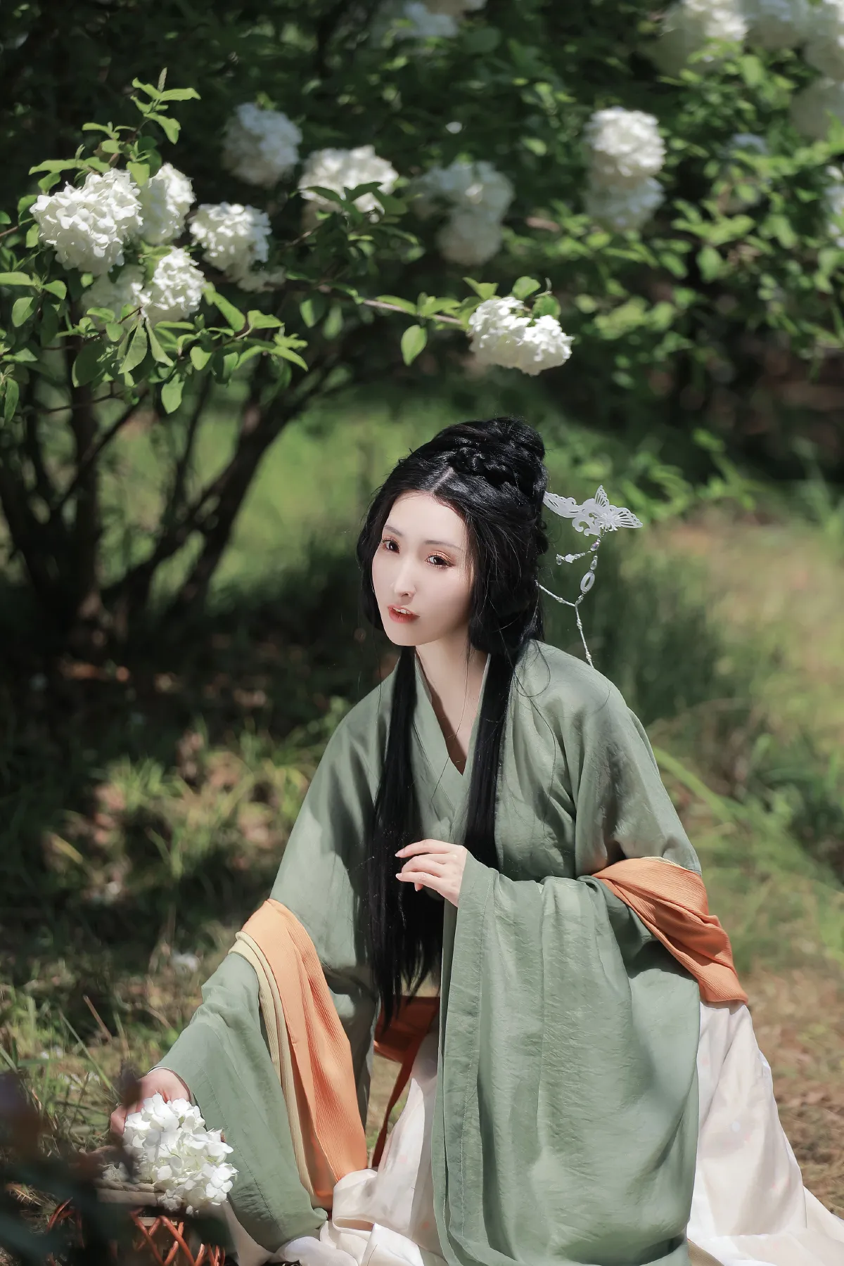 春如雪