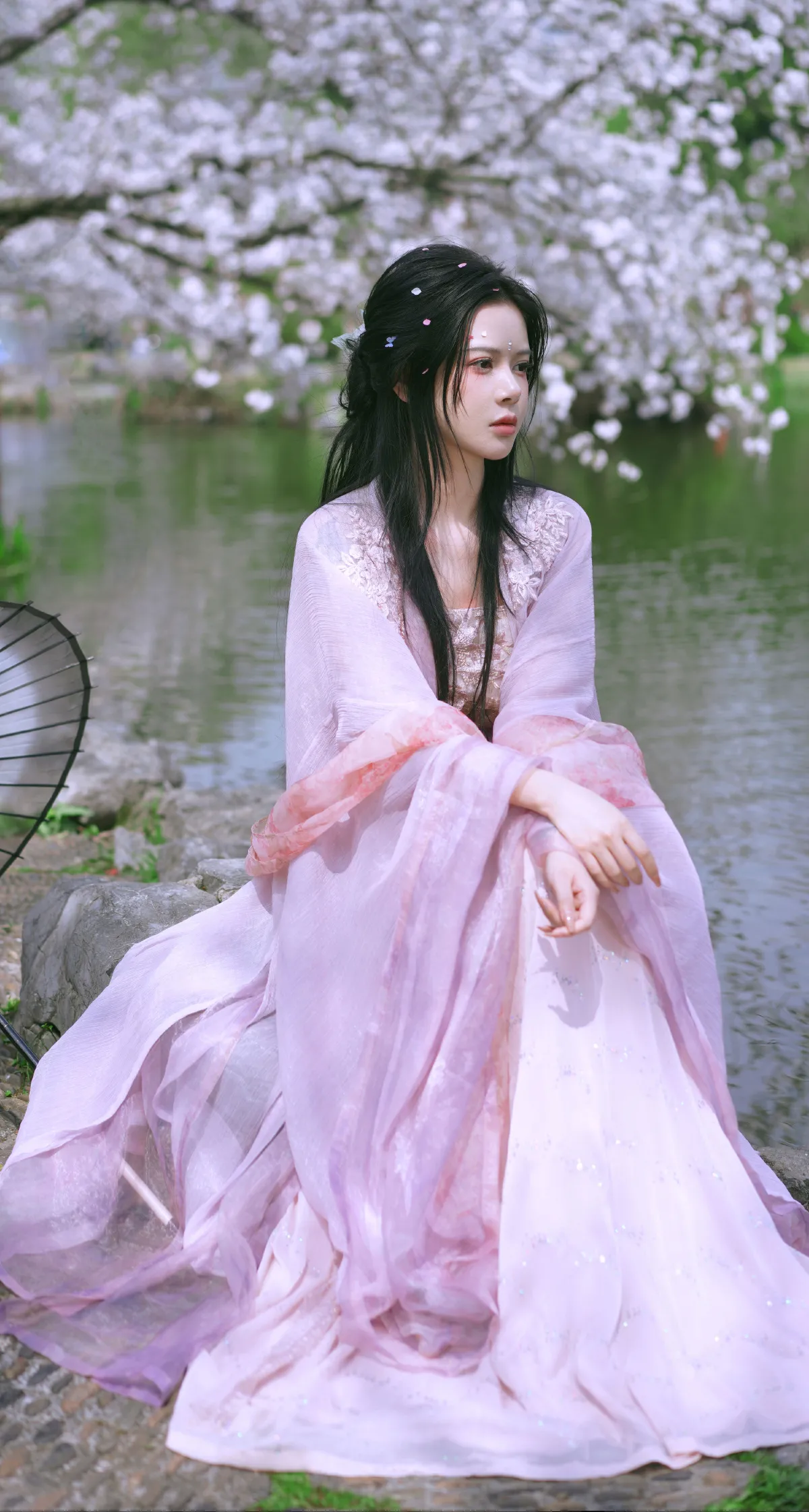 樱花季1